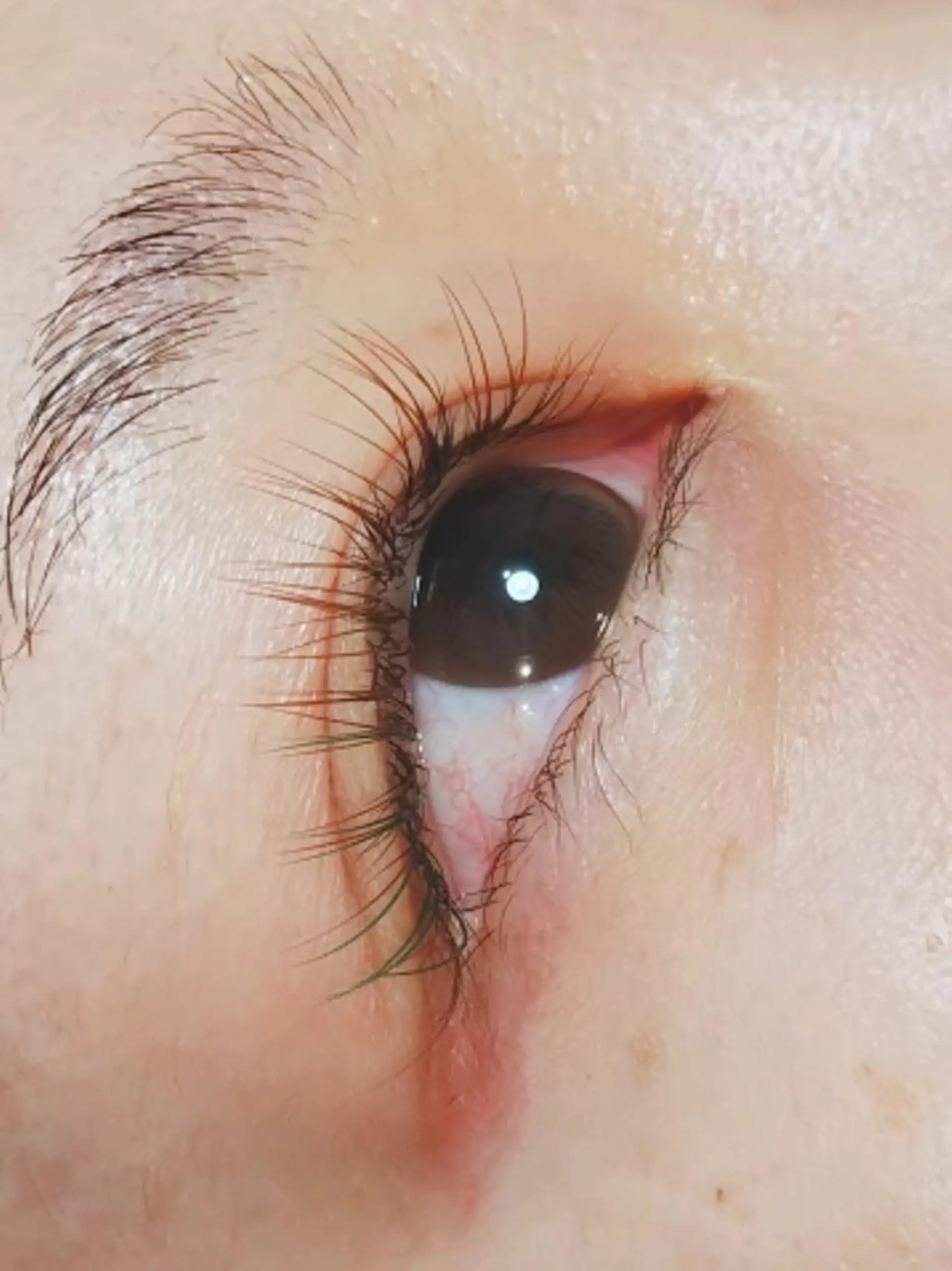 マツエク・マツパ カラーマツエク coto eyeのマツエク・マツパデザイン