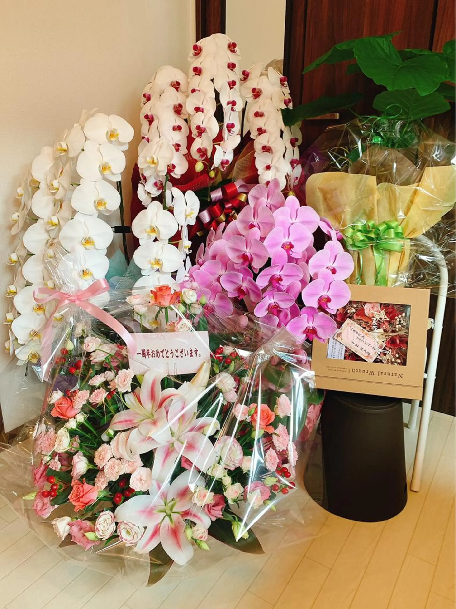 近藤 敦子のその他イメージ