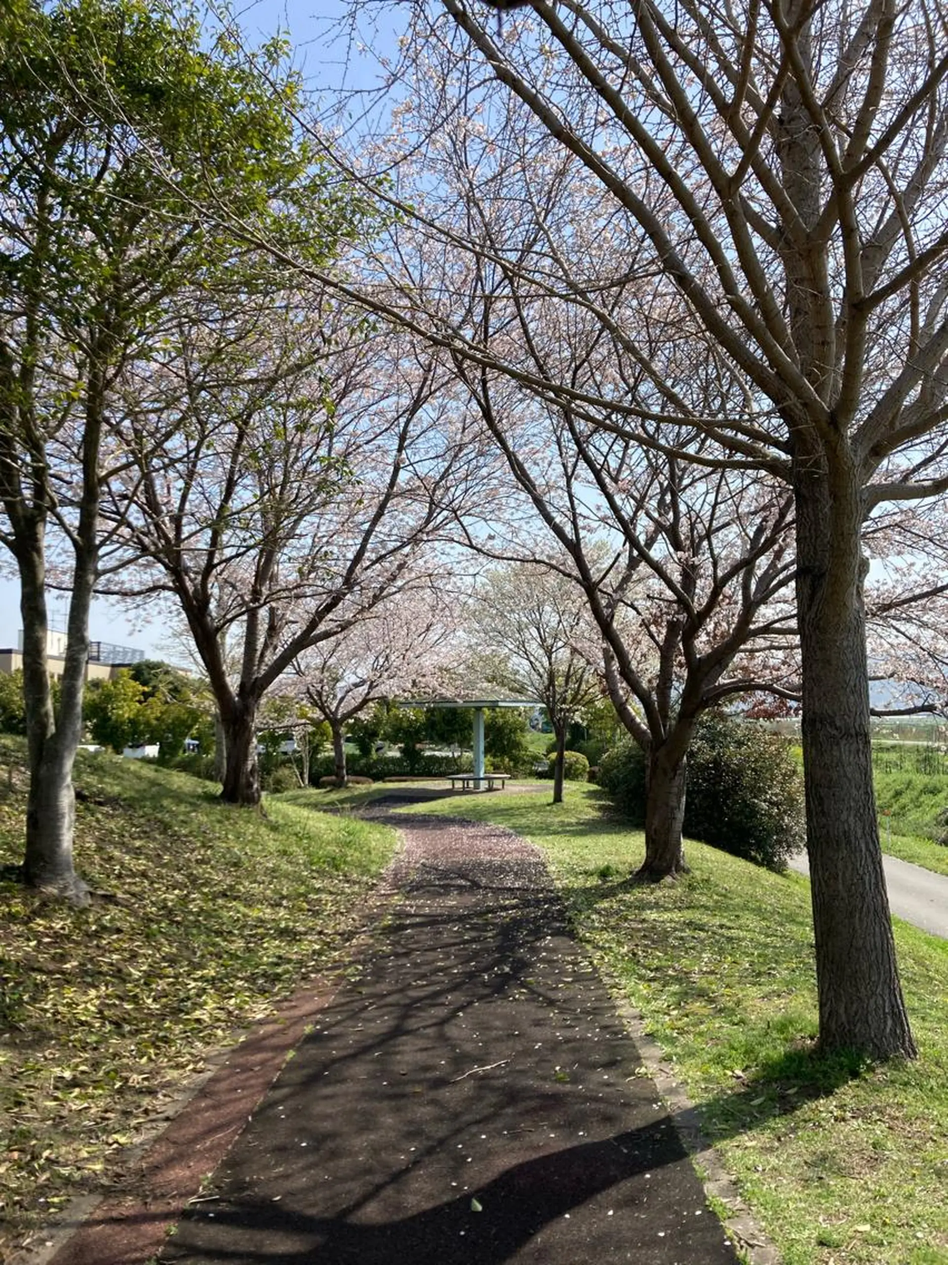 フェイシャルサロン ビアンカガーデンのエステ・リラクイメージ