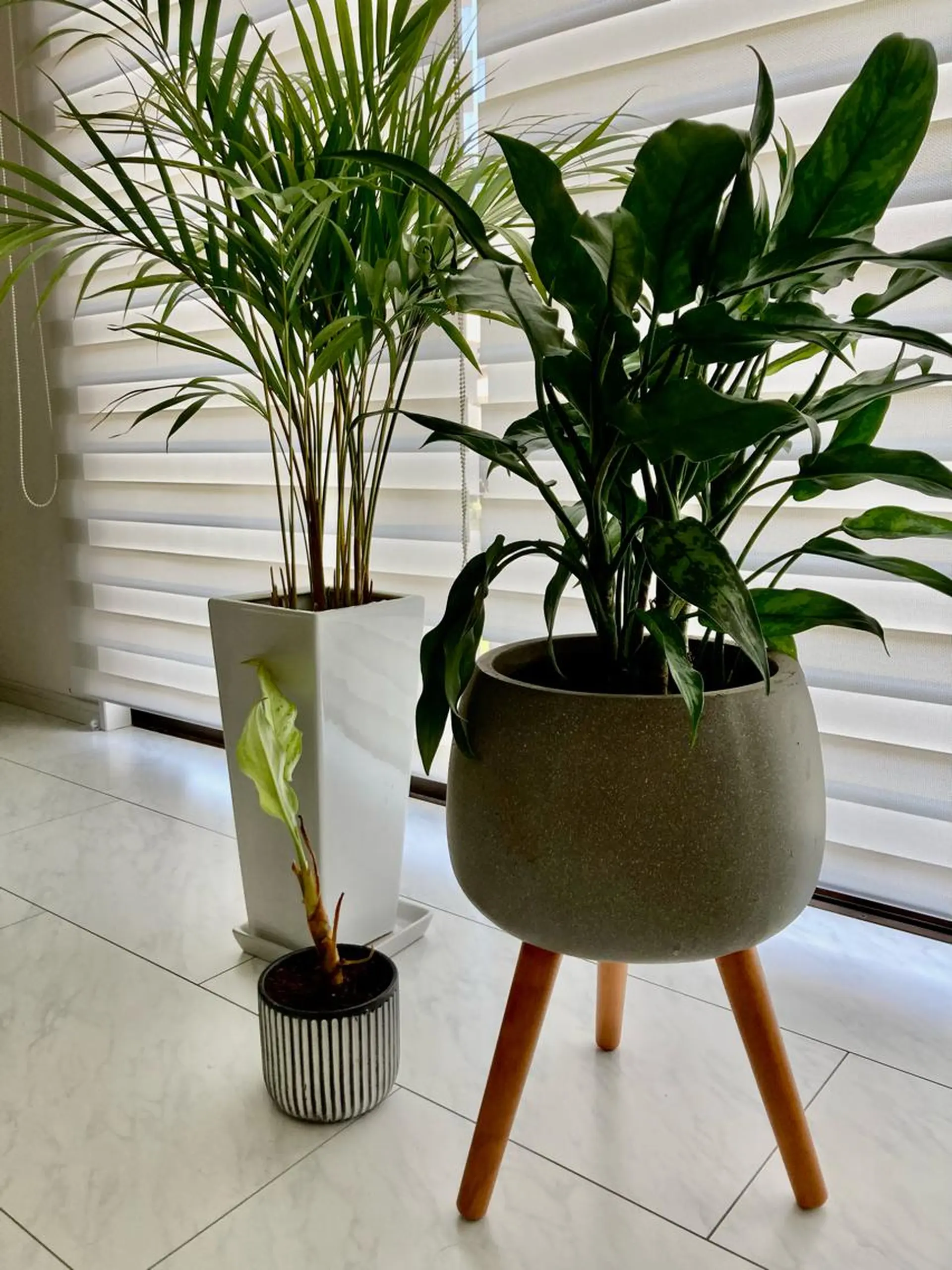 フェイシャルサロン ビアンカガーデンのエステ・リラクイメージ