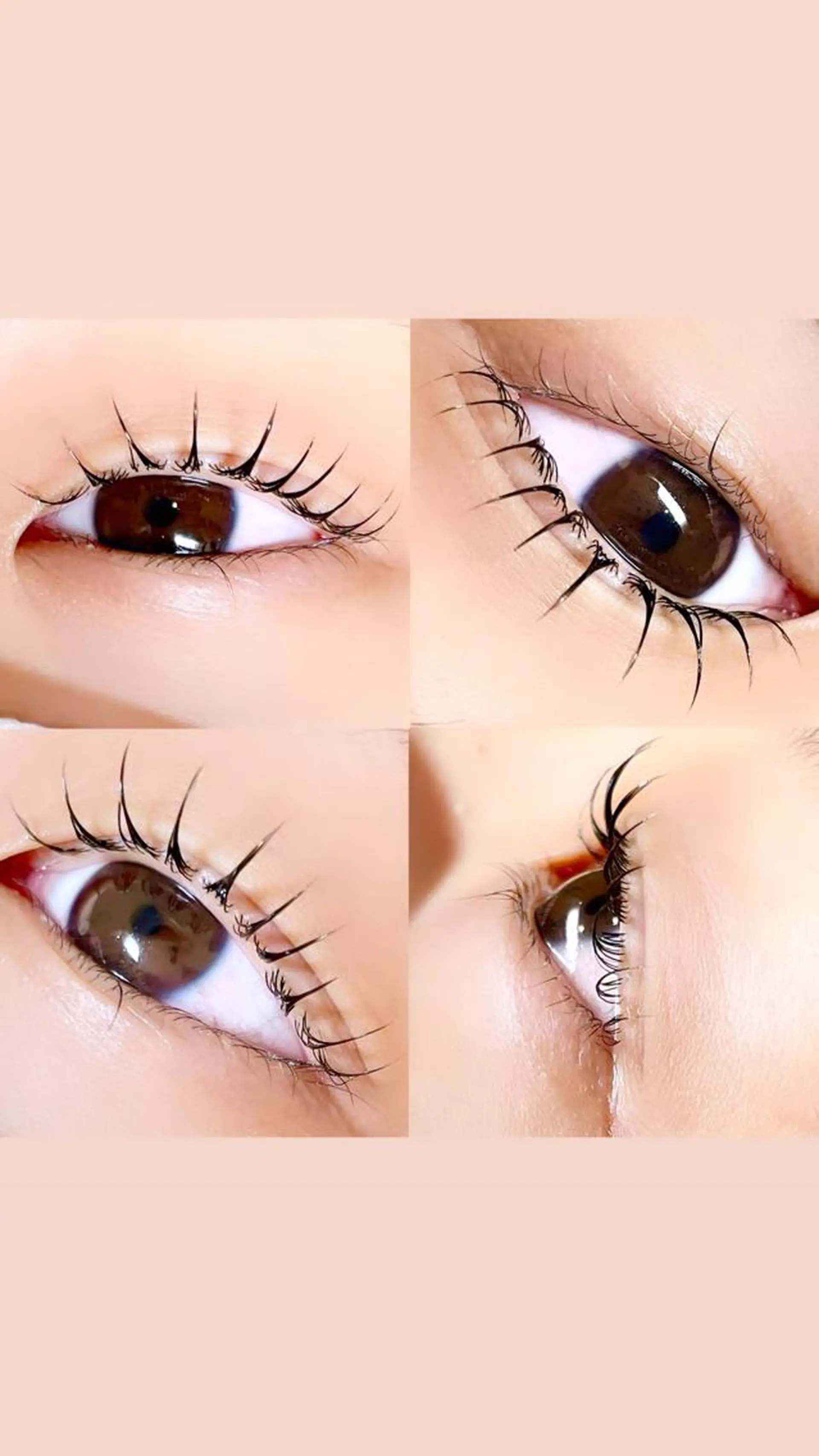 マツエク・マツパ Nae.所属・眉毛/まつ毛/代官山 アイサロン🌻NAEのマツエク・マツパデザイン