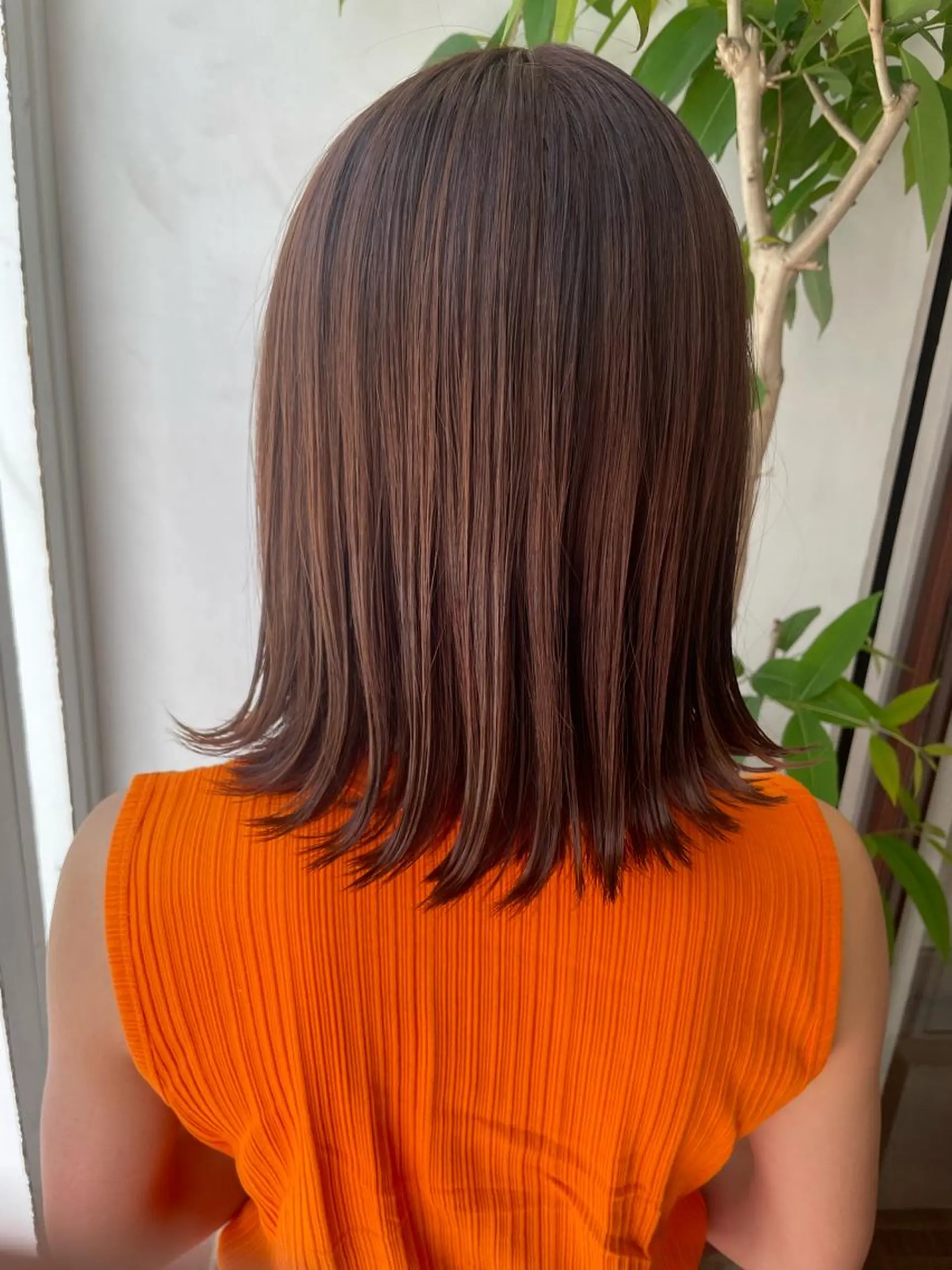 ミディアム カラー インナーカラー 🫧艶髪デザイナー 🫧白石航汰のヘアスタイル