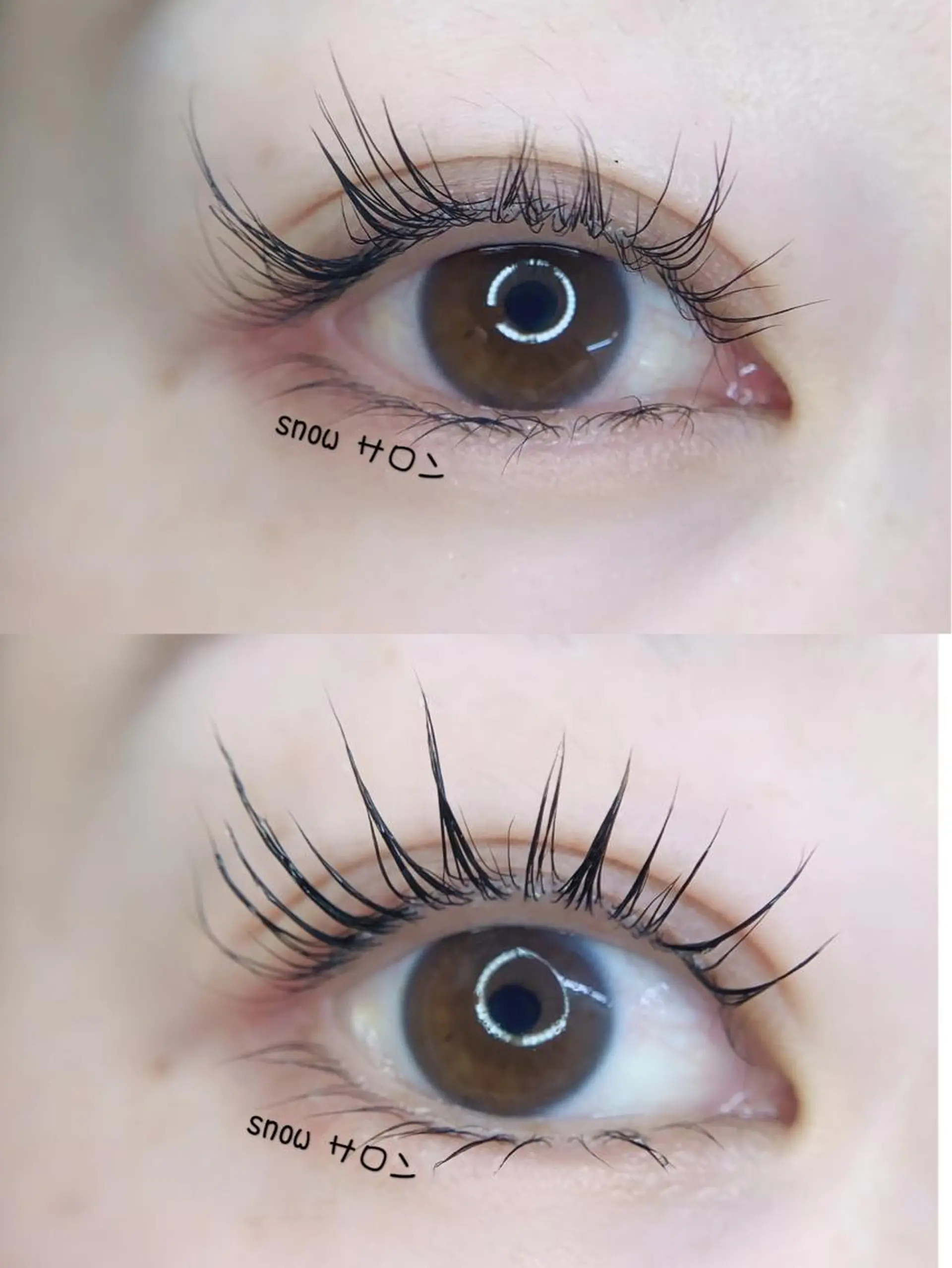 マツエク・マツパ パリジェンヌラッシュリフト foisalon 新宿西口店のマツエク・マツパデザイン