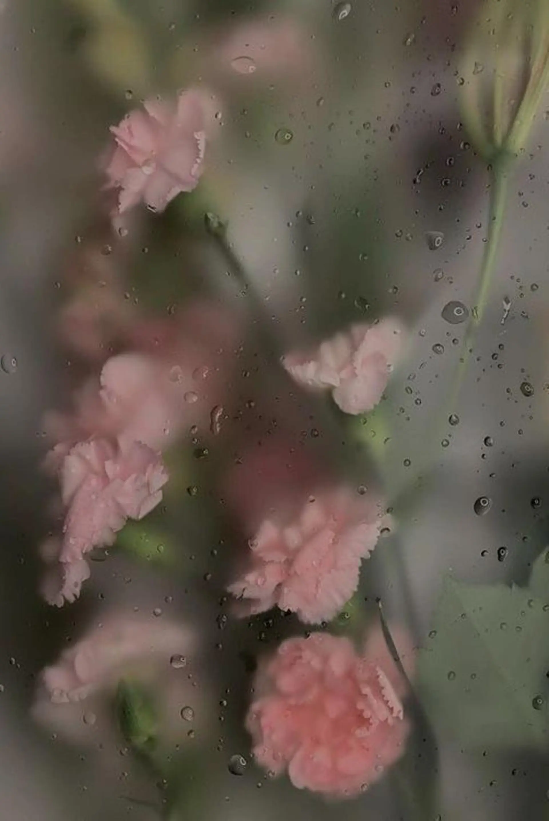 Iwasaki Nene☾店長のマツエク・マツパデザイン