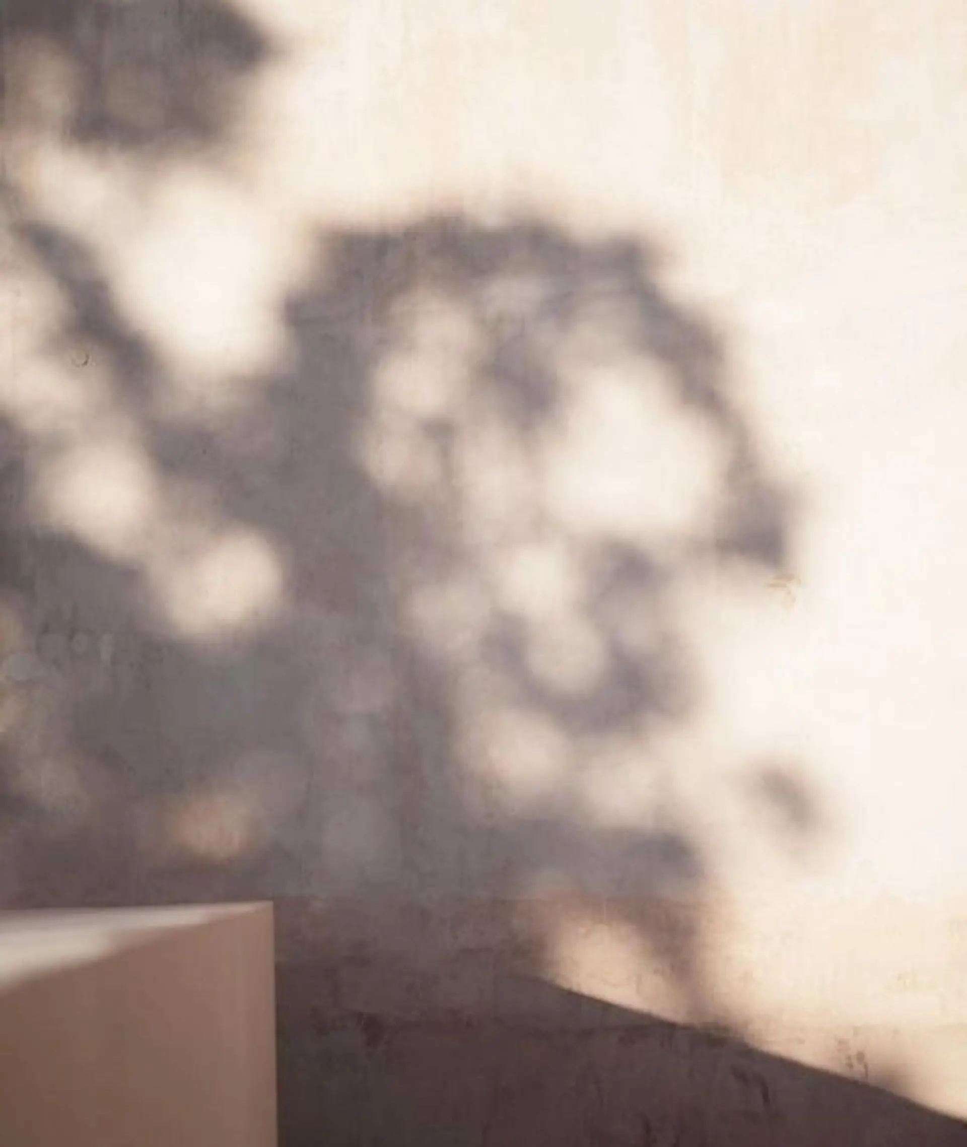 マツエク・マツパ Natsumi フェイシャル/マツパのマツエク・マツパデザイン