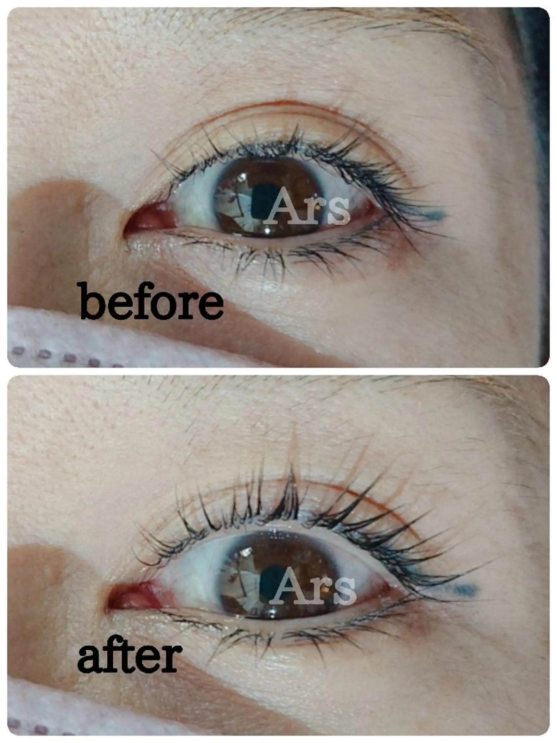 マツエク・マツパ アイリッドアップパーマ Ars  (ｱﾙｽ)所属・Ars      (ｱﾙｽ)のマツエク・マツパデザイン