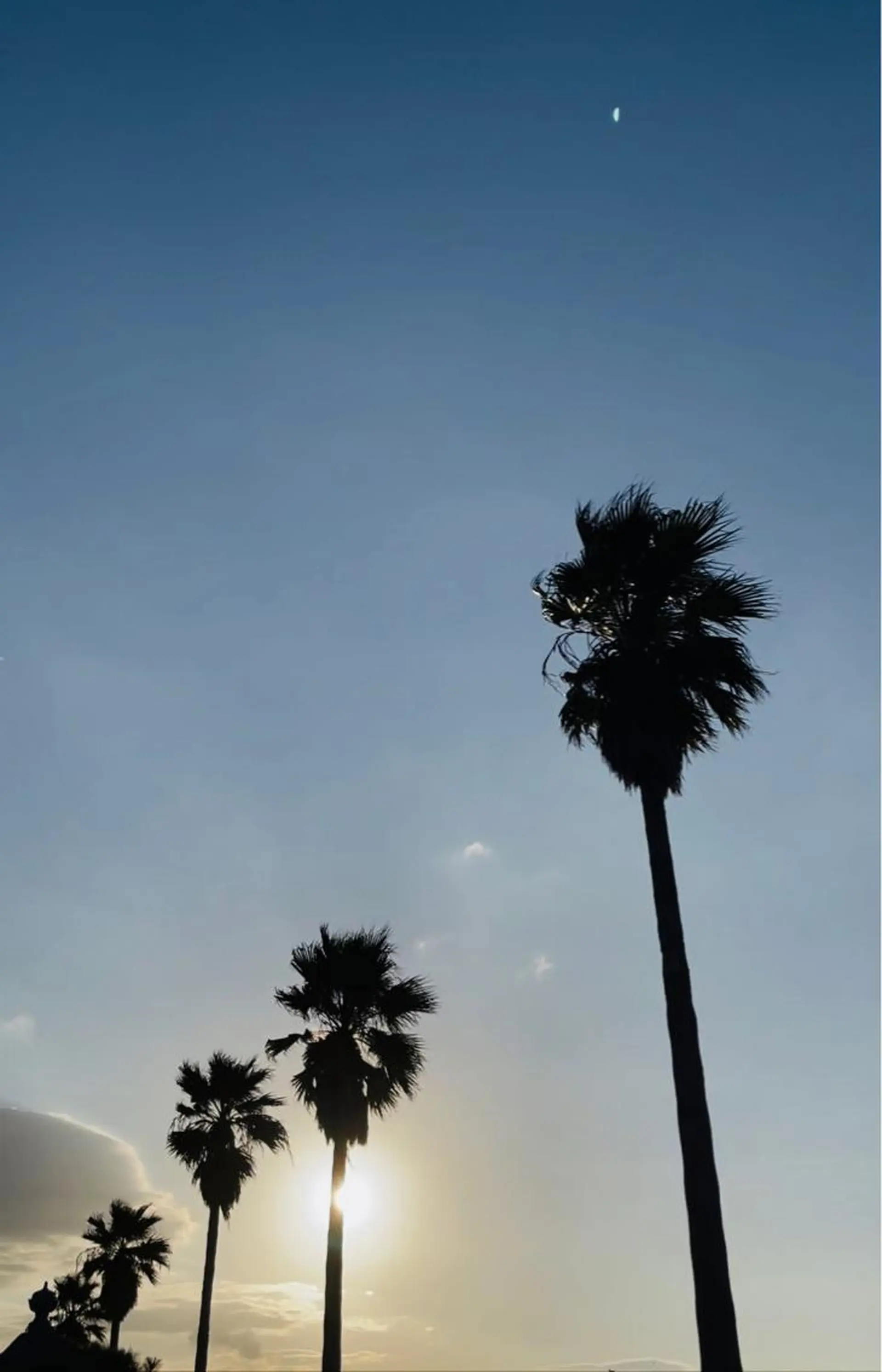 𝐘𝐎𝐒𝐇𝐈 𝐌𝐈🌞🏝のマツエク・マツパデザイン