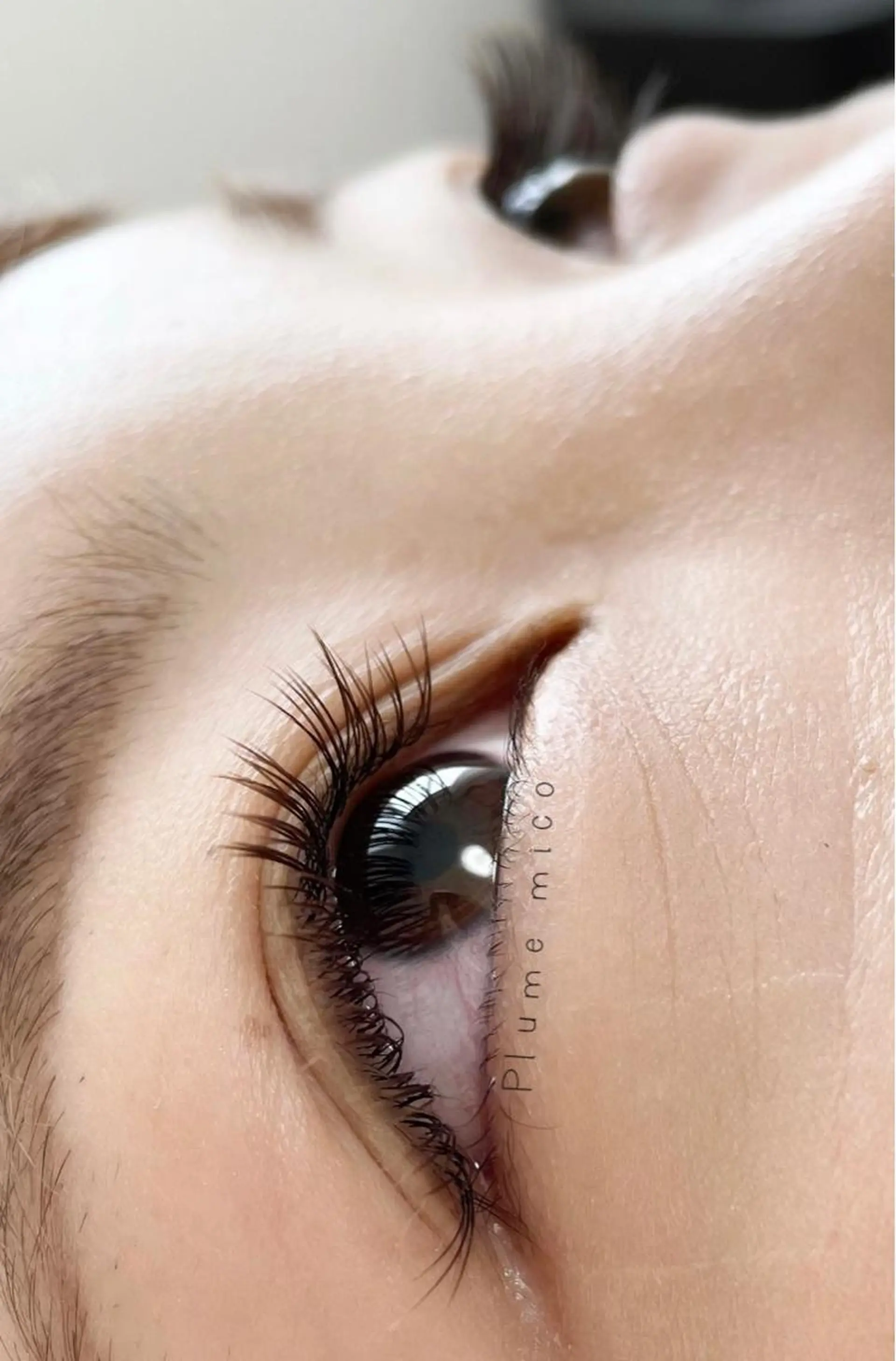 マツエク・マツパ フラットラッシュ マツエク Plume micoのマツエク・マツパデザイン