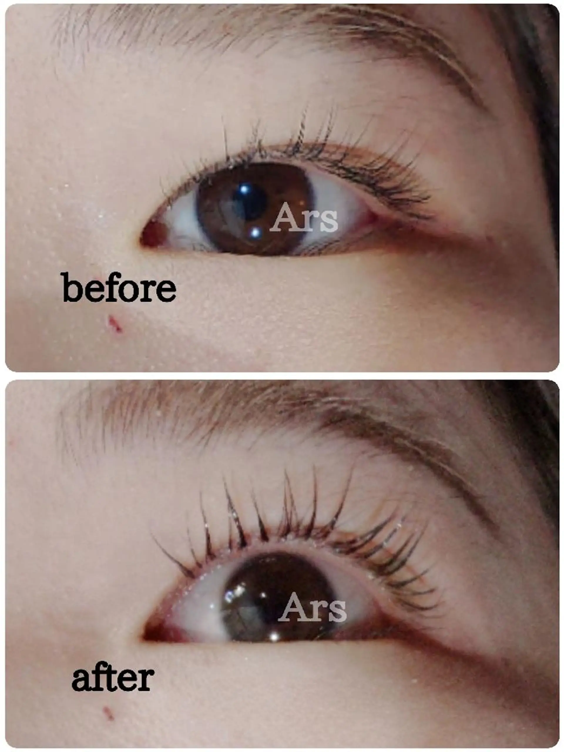 マツエク・マツパ アイリッドアップパーマ Ars  (ｱﾙｽ)所属・Ars      (ｱﾙｽ)のマツエク・マツパデザイン