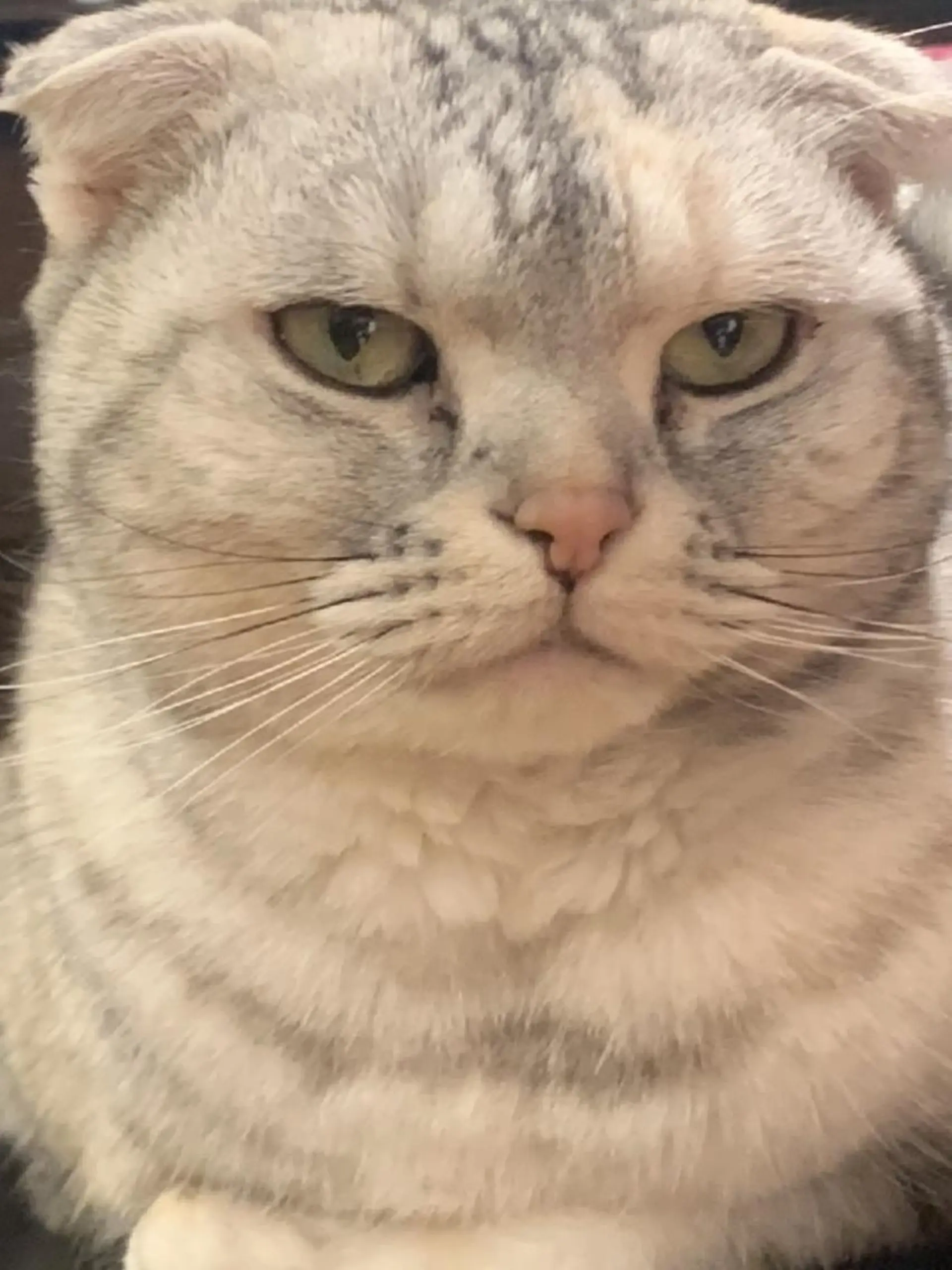 リフトアップ・たるみ ☆美容鍼小顔矯正のその他イメージ