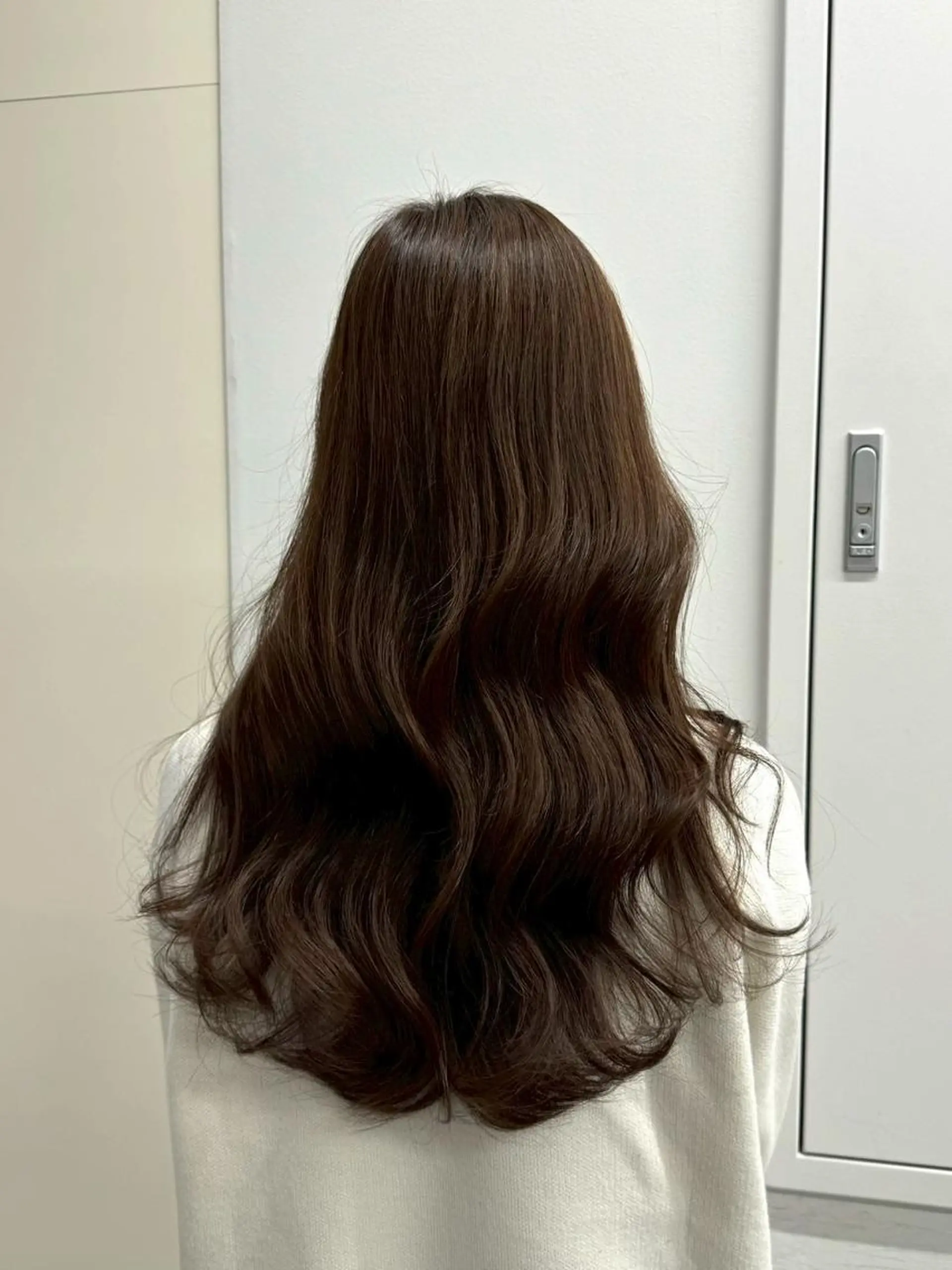 ロング カラー アディクシーカラー アッシュ ブルーカラー ダークアッシュ グレージュ 【公式】amble luxe池袋東口🩷のヘアスタイル