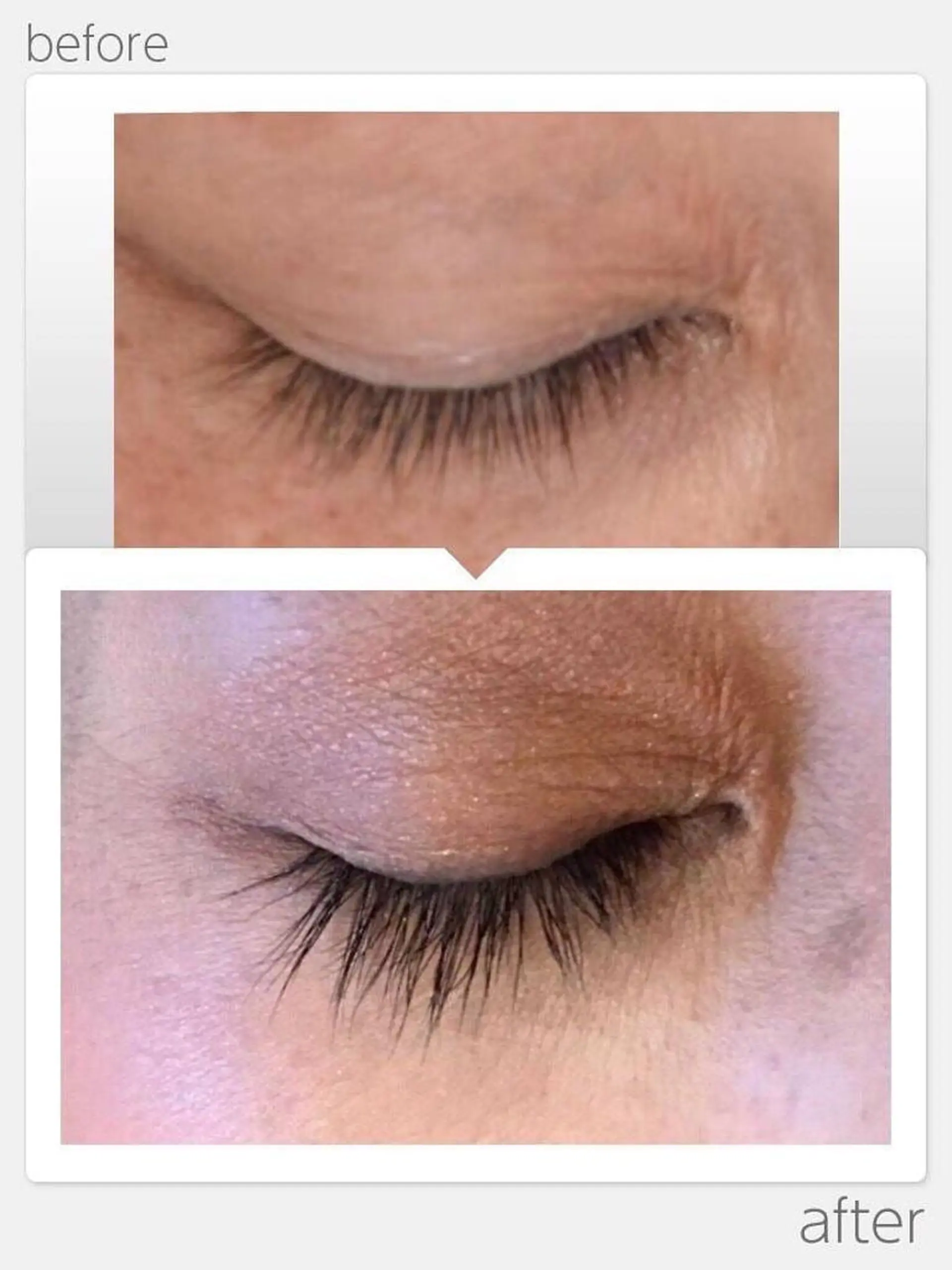 その他(アイブロウ) eyelash presh yukaのマツエク・マツパデザイン