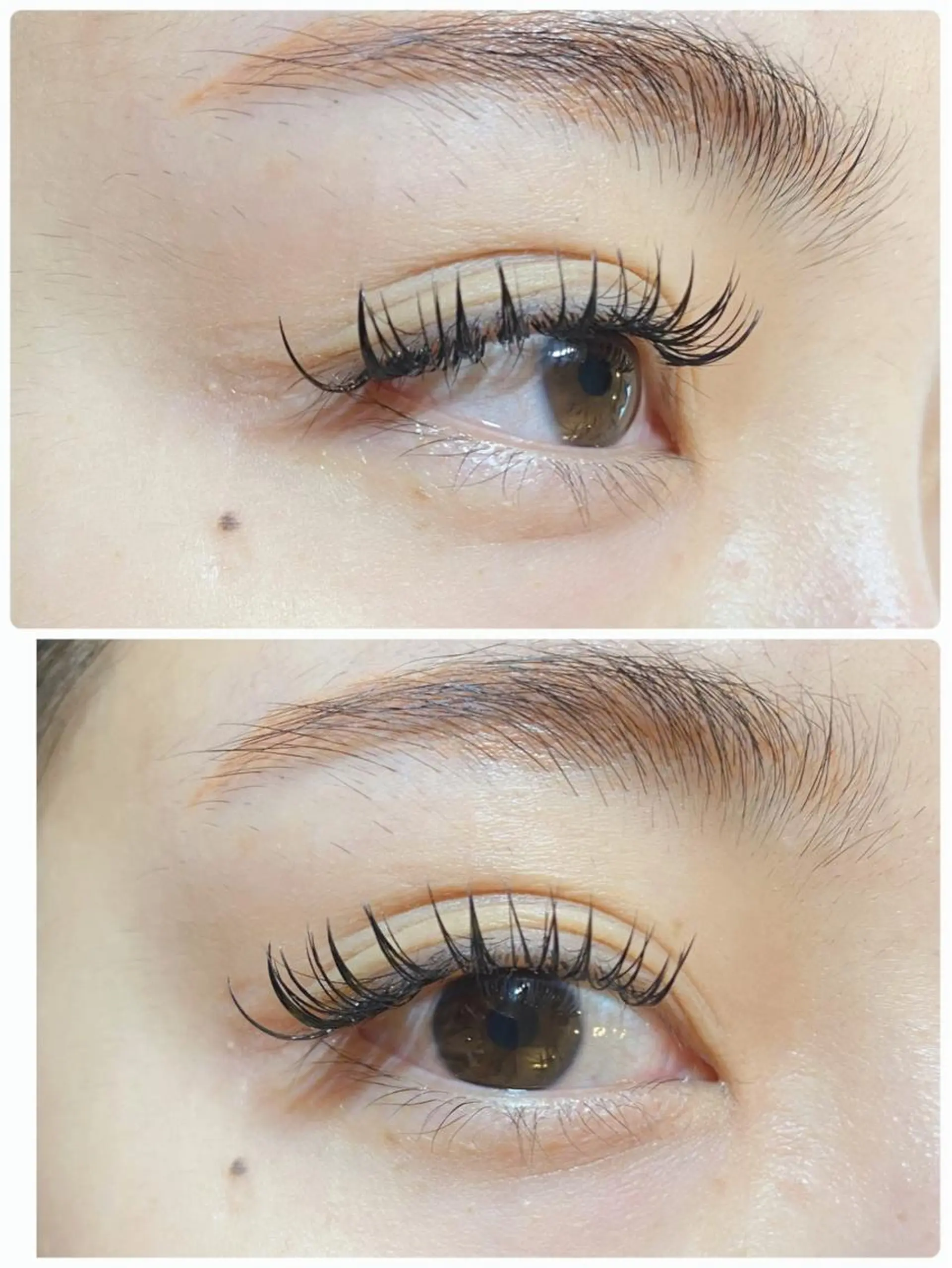 マツエク・マツパ マツエク sato ayumi🍀🌈のマツエク・マツパデザイン