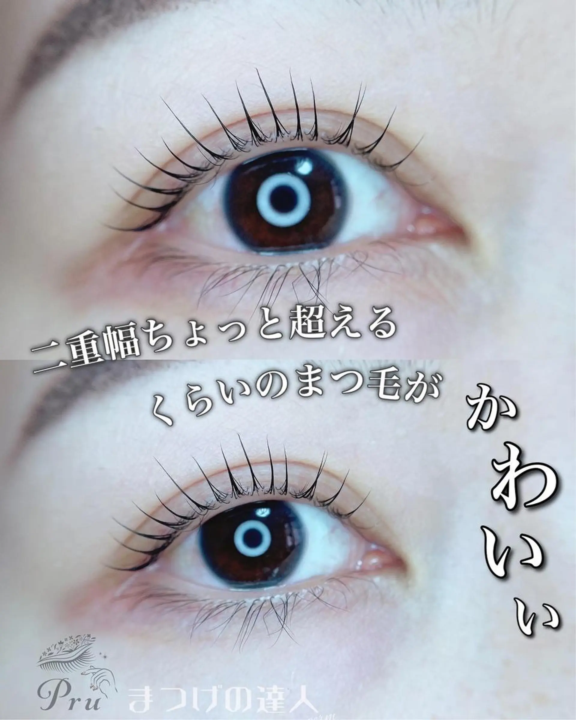 マツエク・マツパ マツパ プル eyelashのマツエク・マツパデザイン