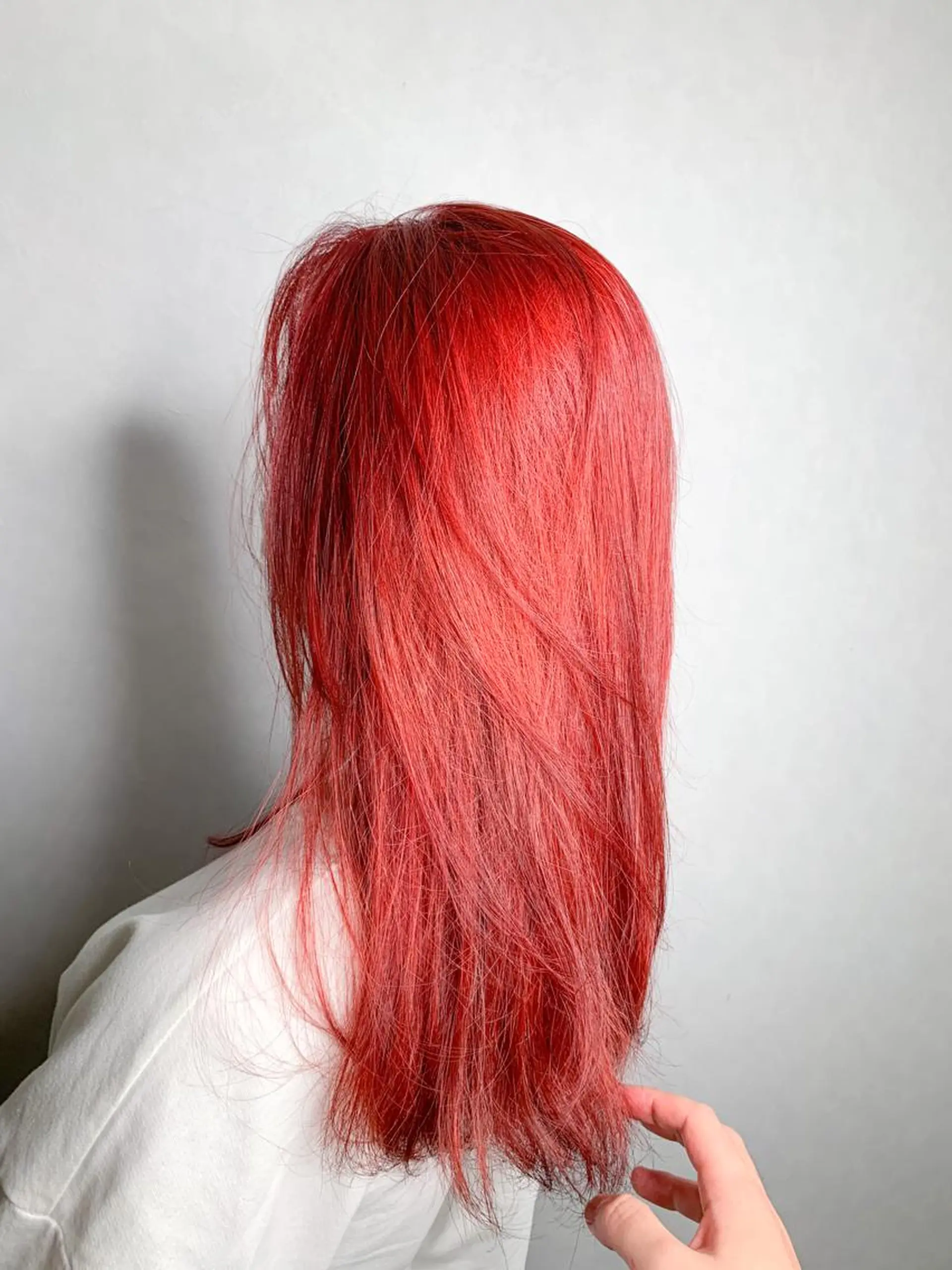 セミロング カラー レッドカラー ヘアカラー 🌈 DAIKI 🌈のヘアスタイル