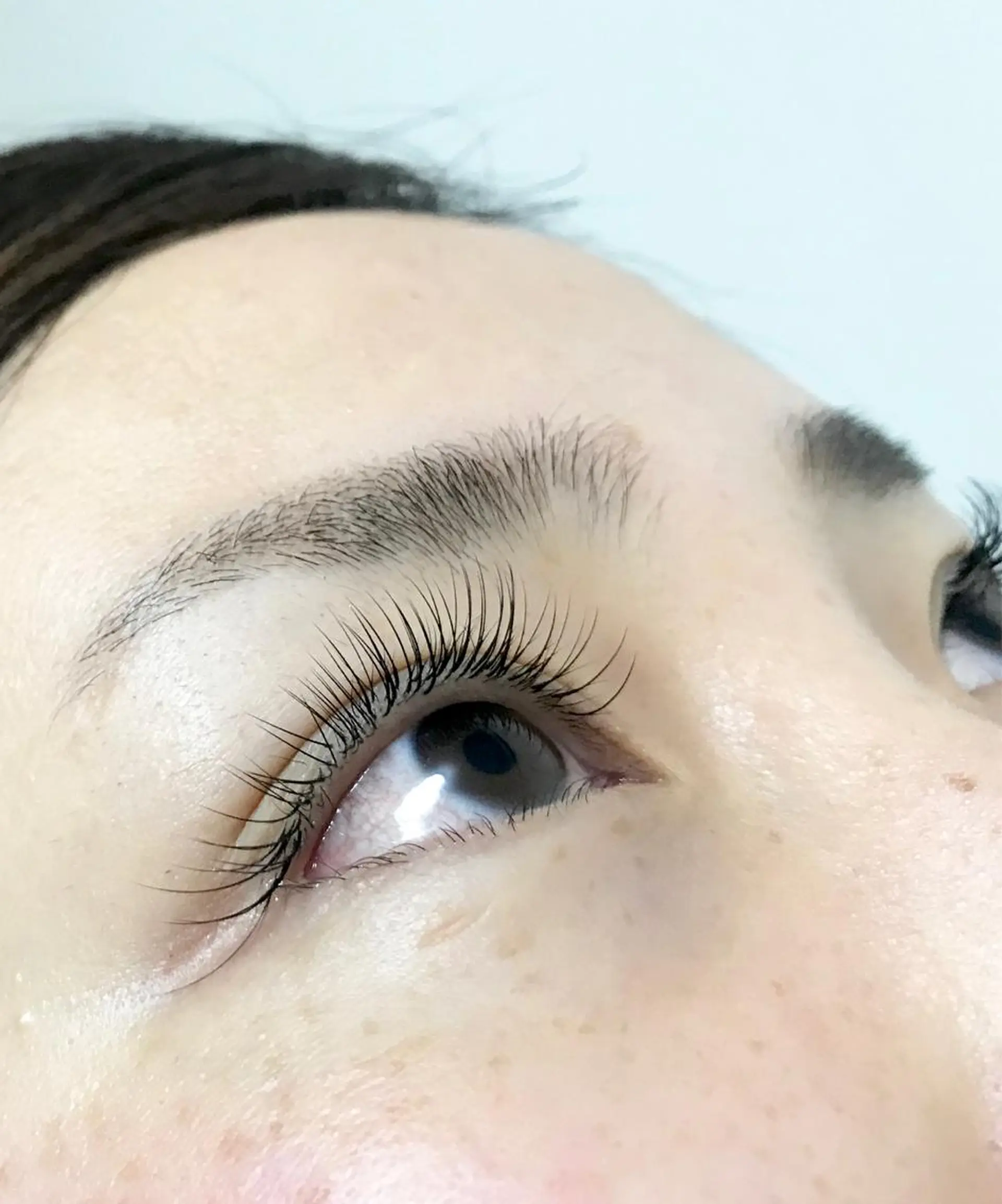 マツエク・マツパ Cカール Jカール 〜eyelash salon〜    Shapely所属・Shapely シェイプリーのマツエク・マツパデザイン