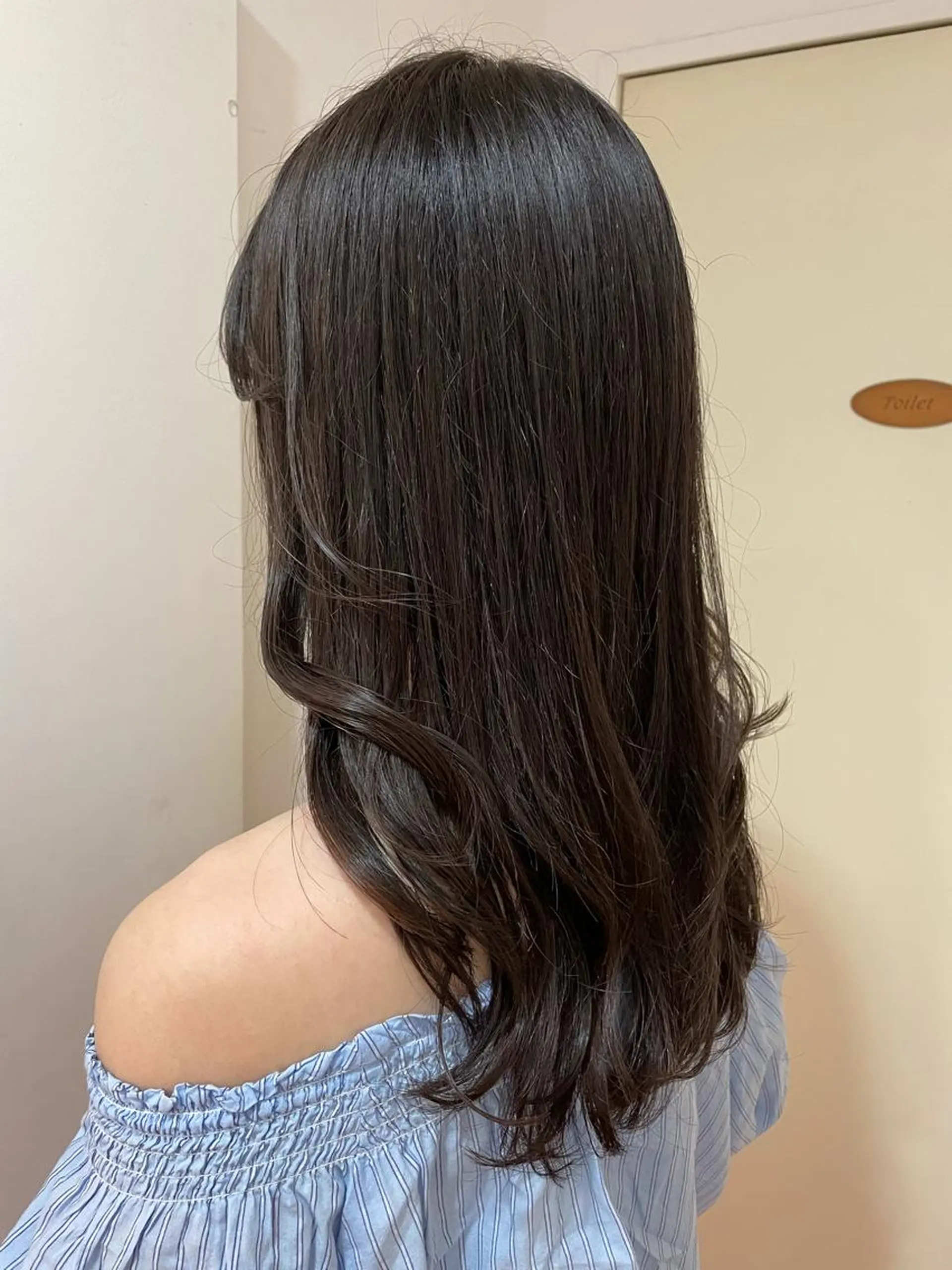 ロング 🦋透明感 艶カラー Rie🦋のヘアスタイル