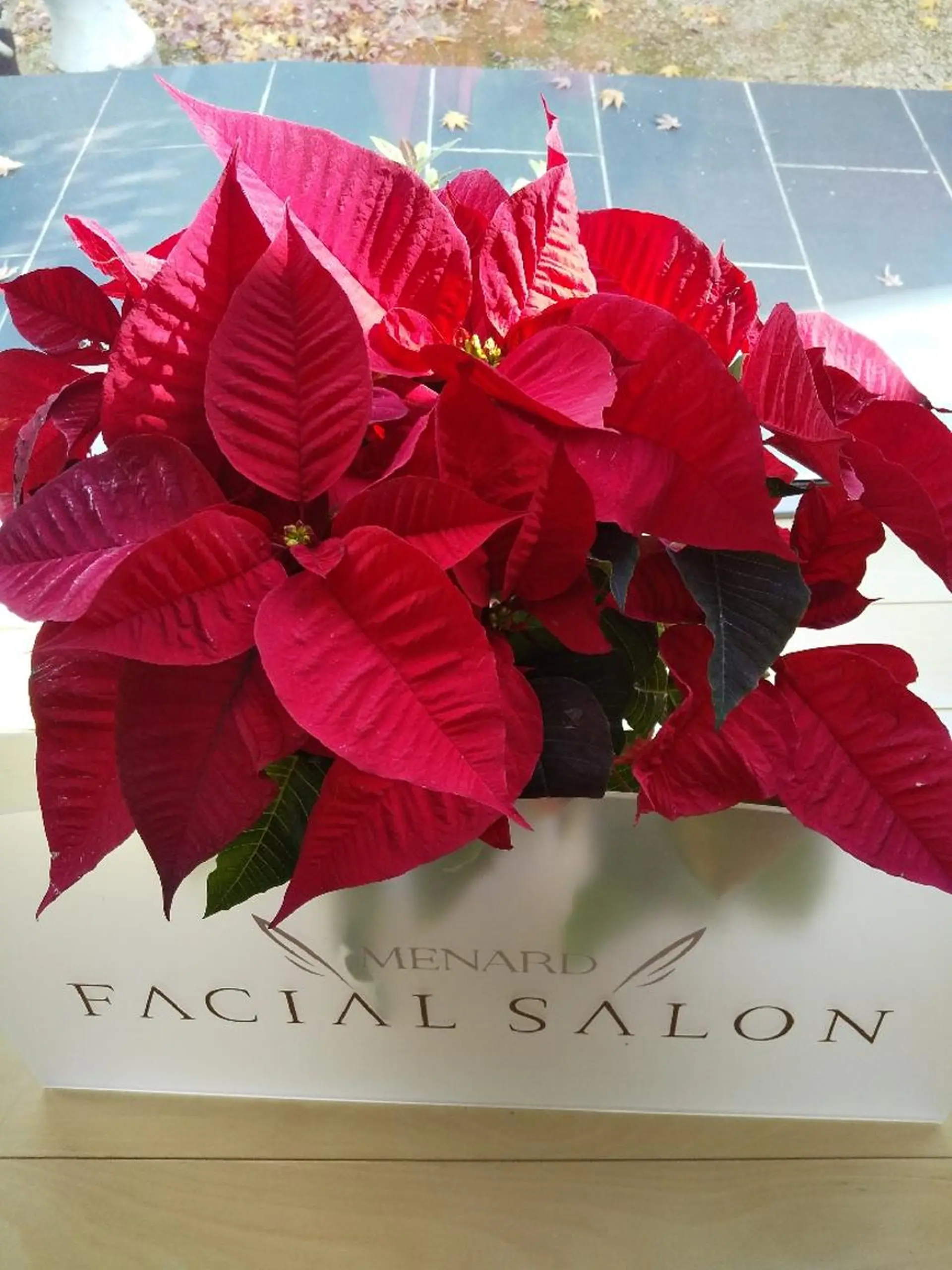 フェイシャルサロンシエルメール所属・エステ。 メナードのエステ・リラクイメージ