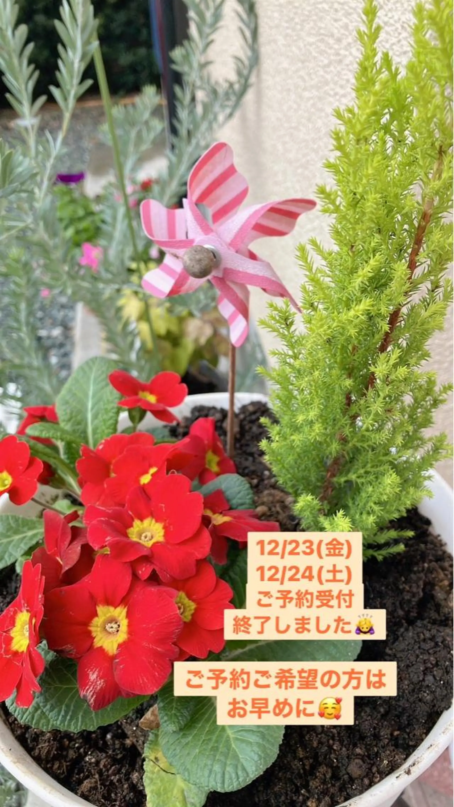 メナード熊本 嘉島のエステ・リラクイメージ