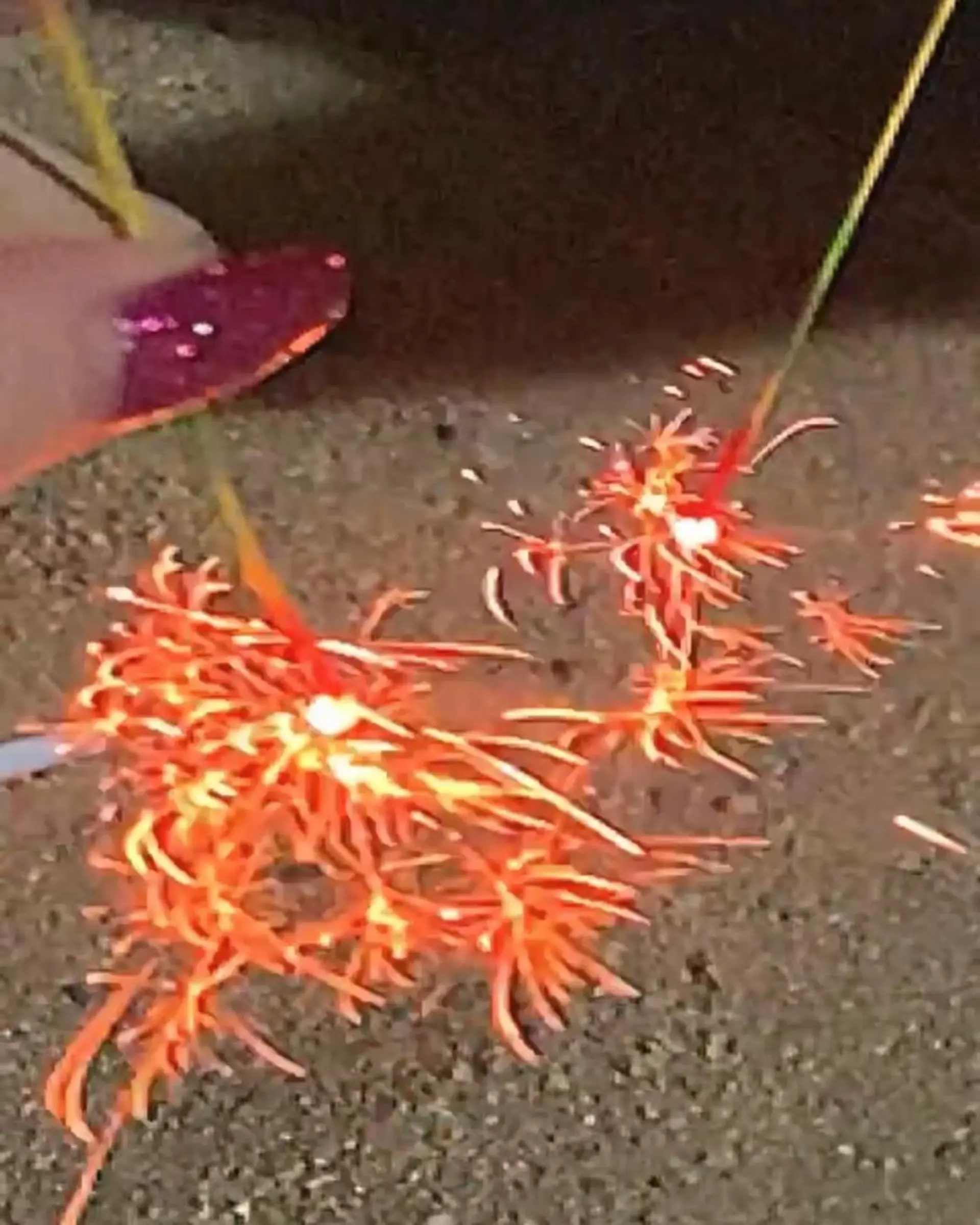 ミディアム カラー パーマ ヘアアレンジ メンズ 🩷Eny terrace🩷のヘアスタイル