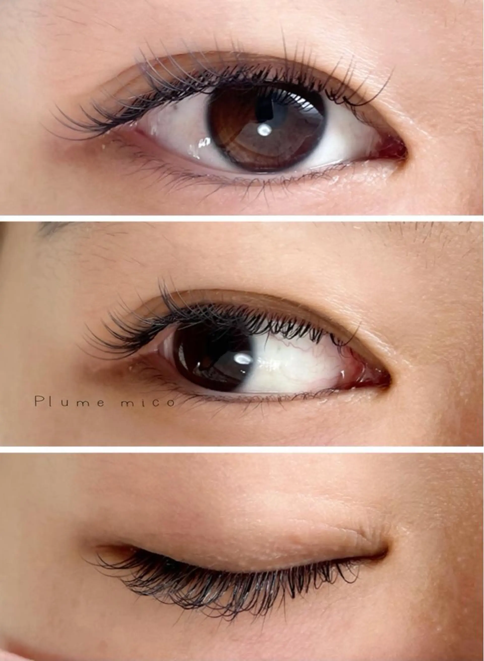 マツエク・マツパ マツエク Plume micoのマツエク・マツパデザイン