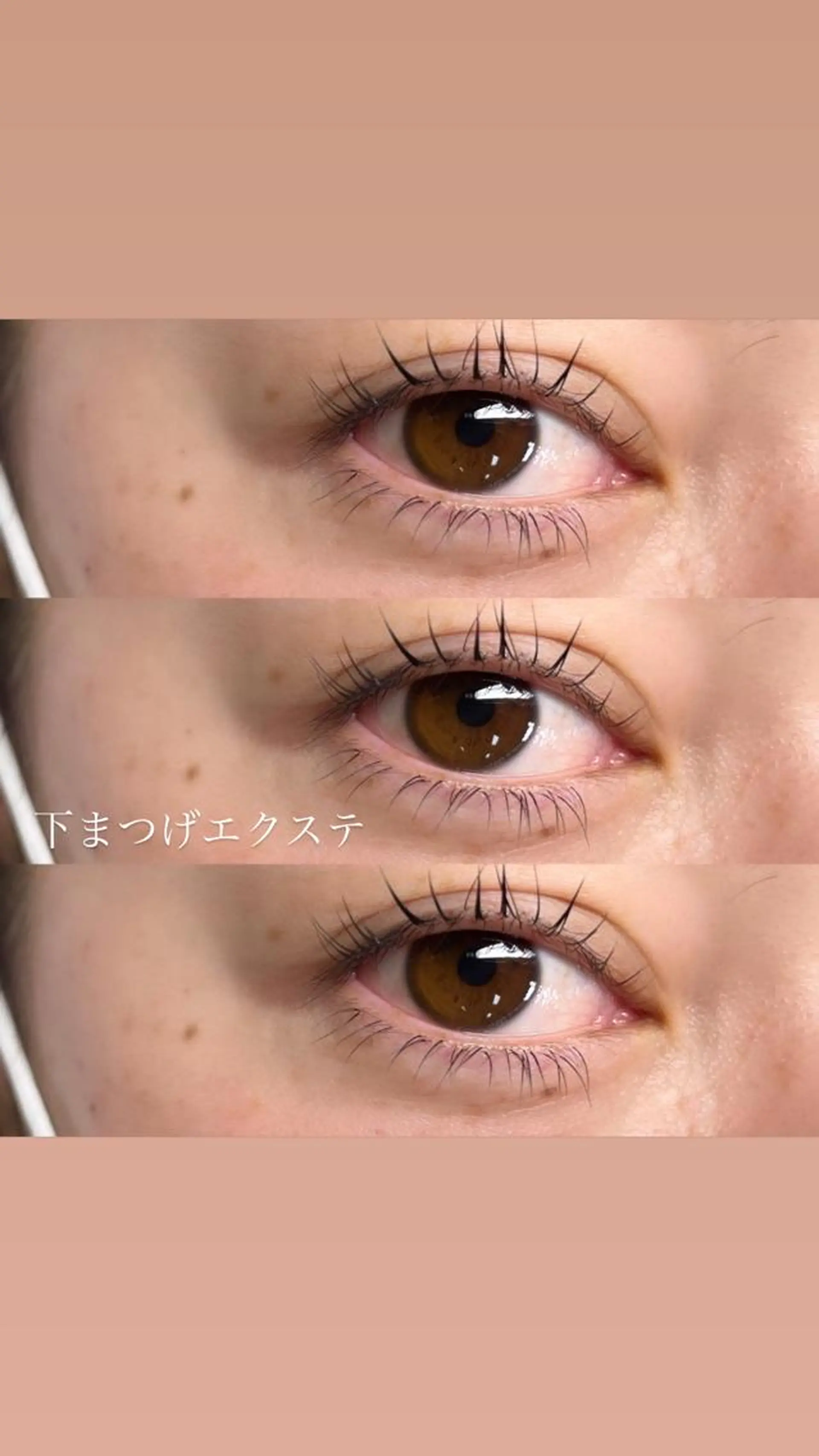 マツエク・マツパ Signpost🌼 アサイのマツエク・マツパデザイン