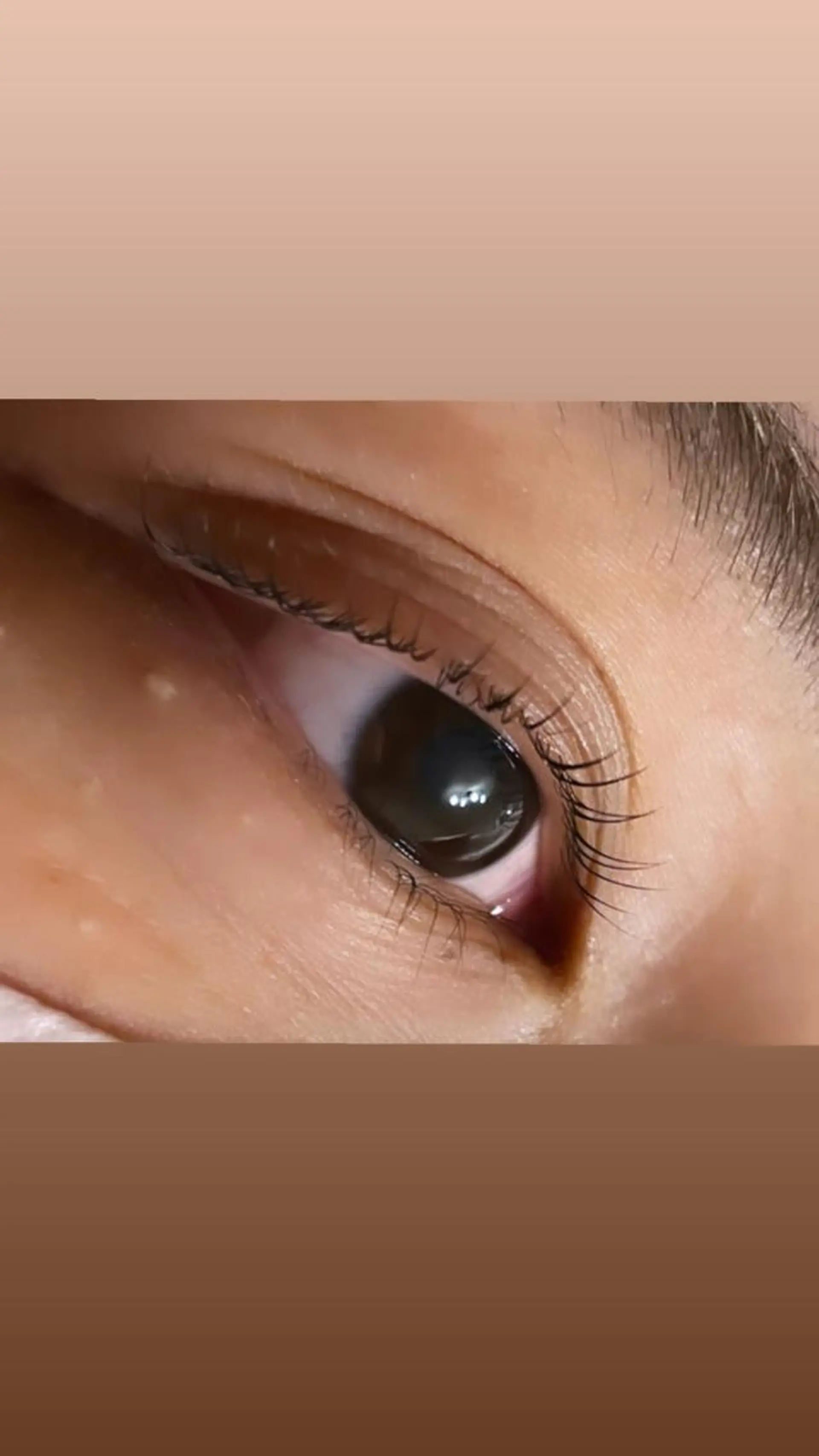 マツエク・マツパ petit bonheurのマツエク・マツパデザイン