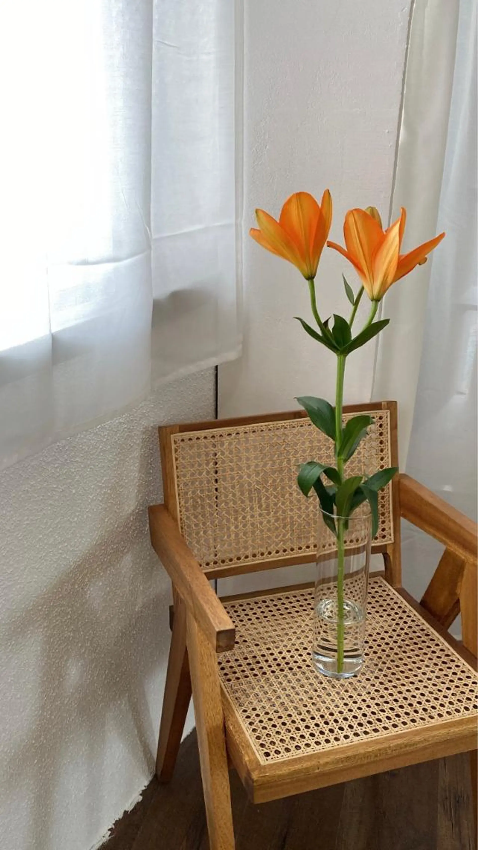 マツエク・マツパ マツパ une 石橋阪大前・ 箕面・池田・蛍池のマツエク・マツパデザイン