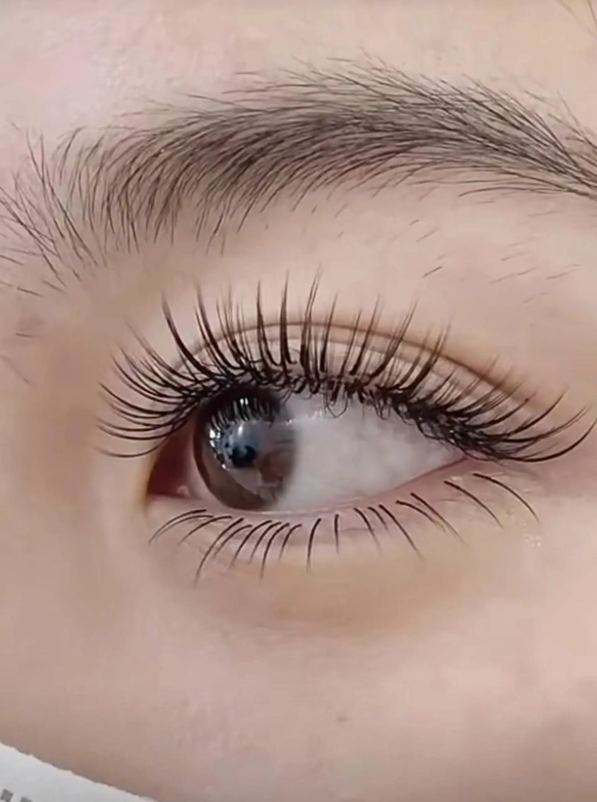 マツエク・マツパ マツエク ✨Yumi ☆eye✨のマツエク・マツパデザイン