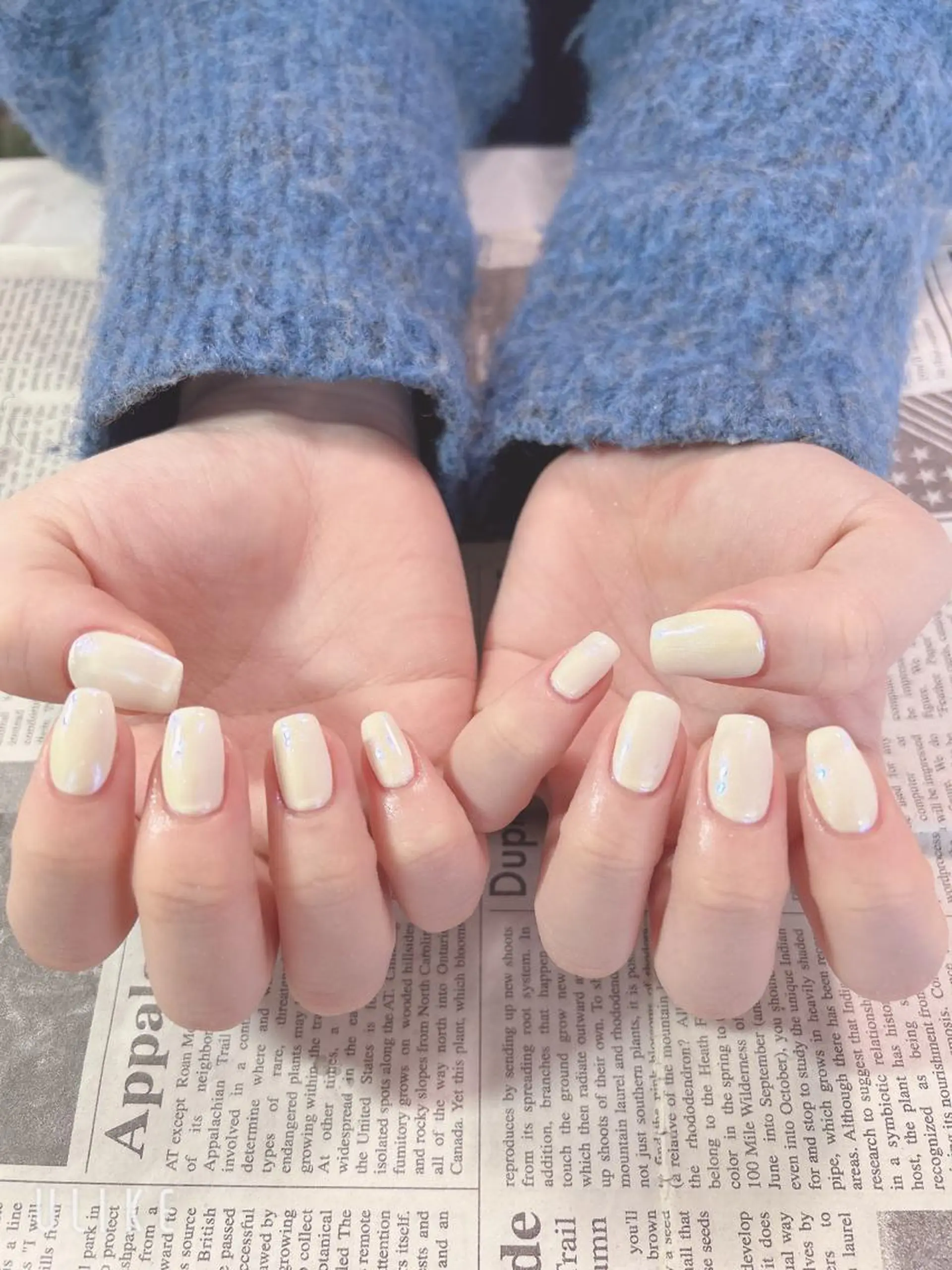 ネイル オーロラネイル ハンドネイル ハンドケア 森山 舞のネイルデザイン