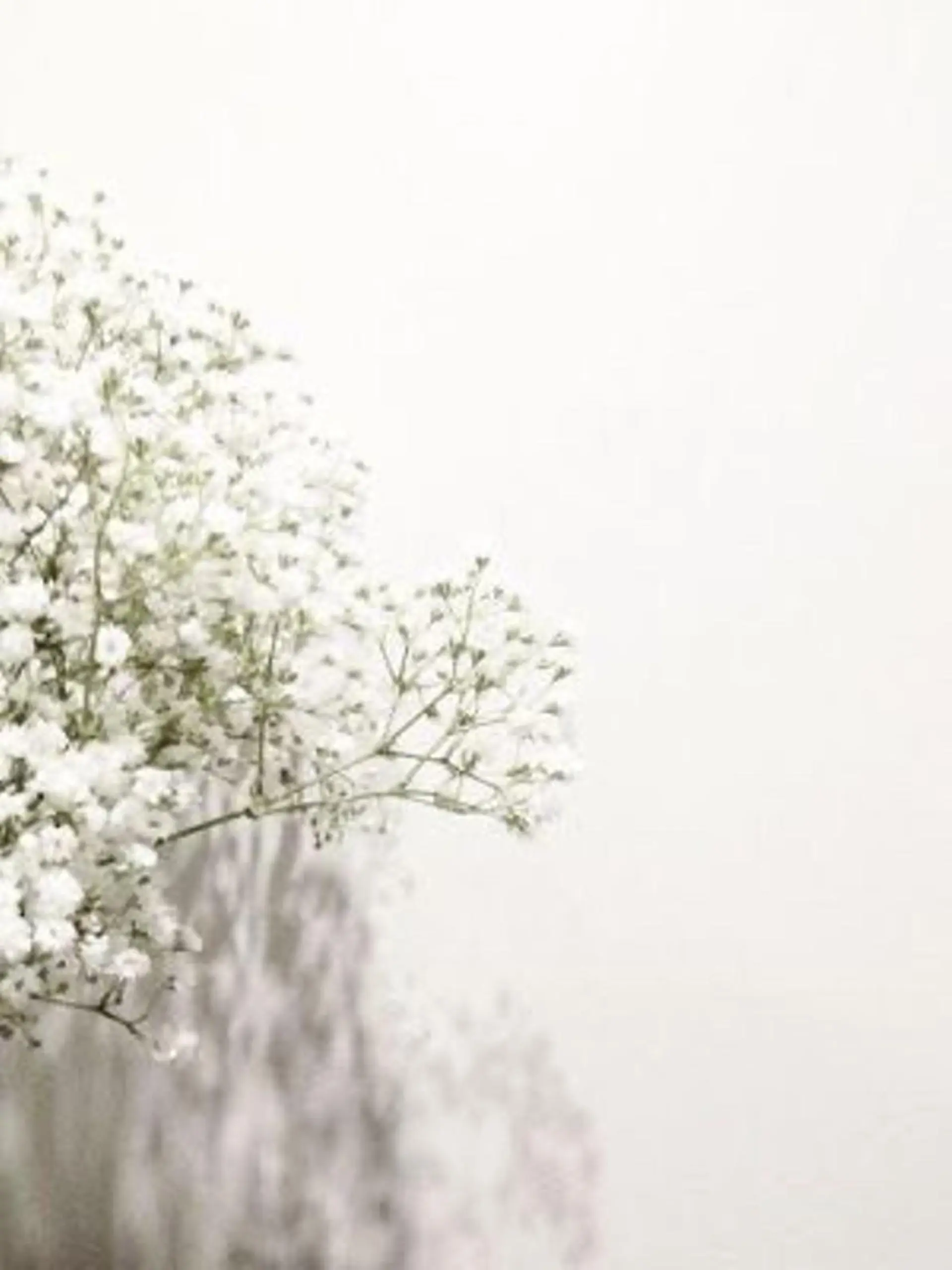 マツエク・マツパ miien(SALONVILLAGE内)所属・MOE /渋谷・明治神宮前のマツエク・マツパデザイン