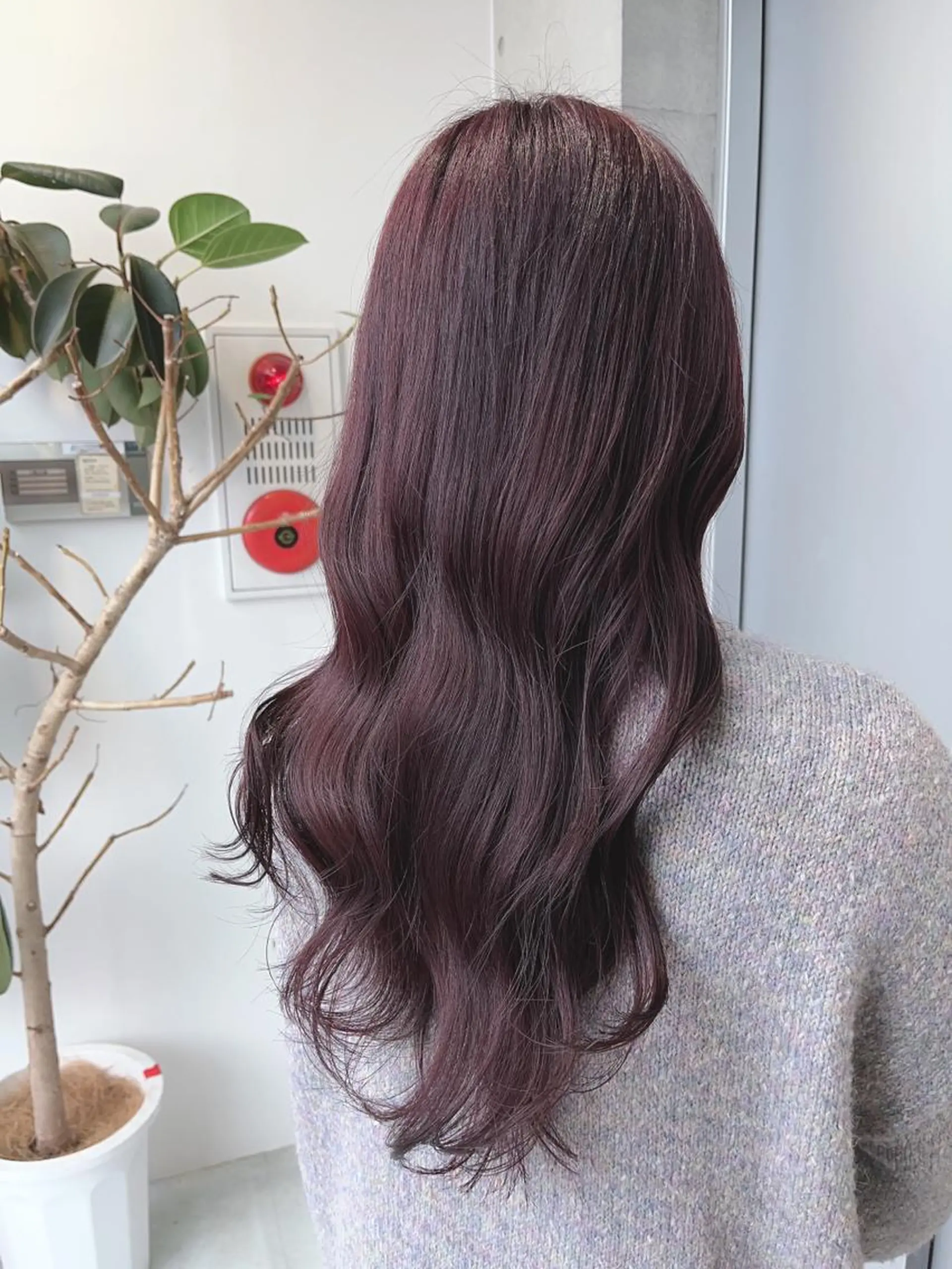 ロング カット ヘアカラー トリートメント 🌫️大人韓国ヘア 🌫️naoyaのヘアスタイル