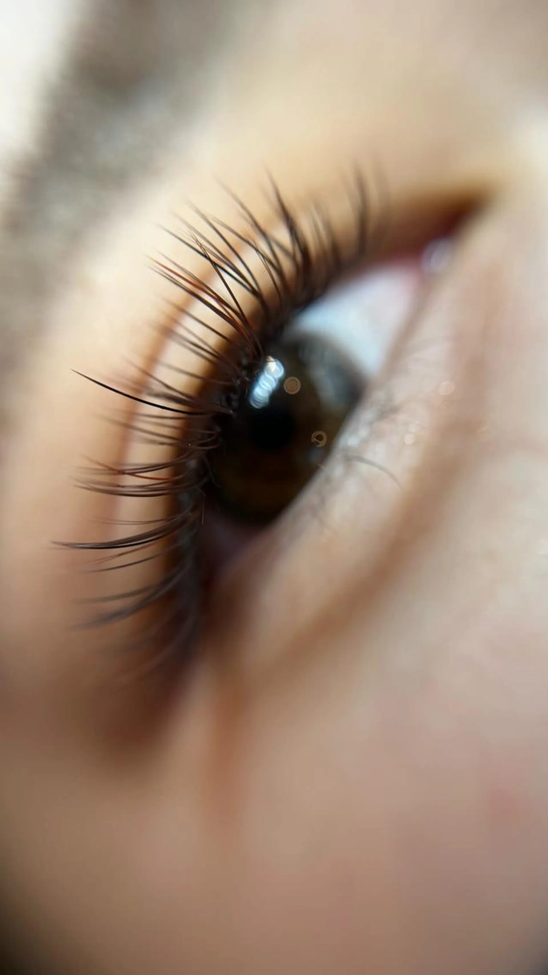 マツエク・マツパ komatsu eyelash恵比寿のマツエク・マツパデザイン