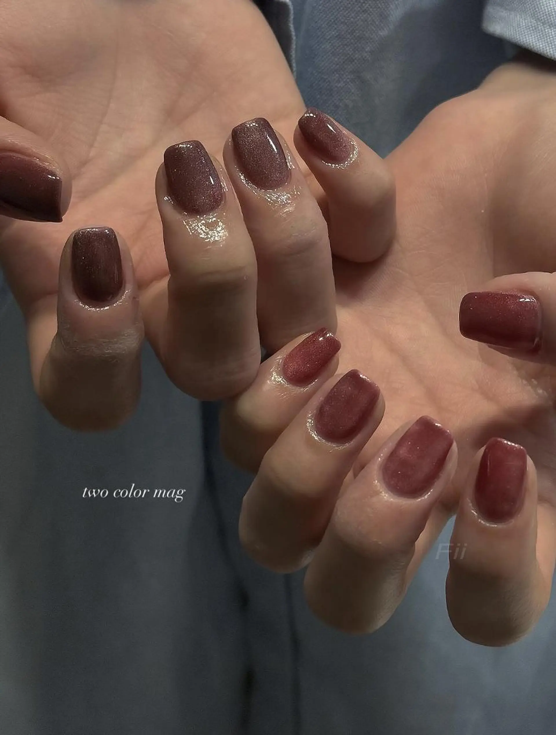 ネイル ボルドー マグネットネイル ネイルサロン Fii【フイ】のネイルデザイン