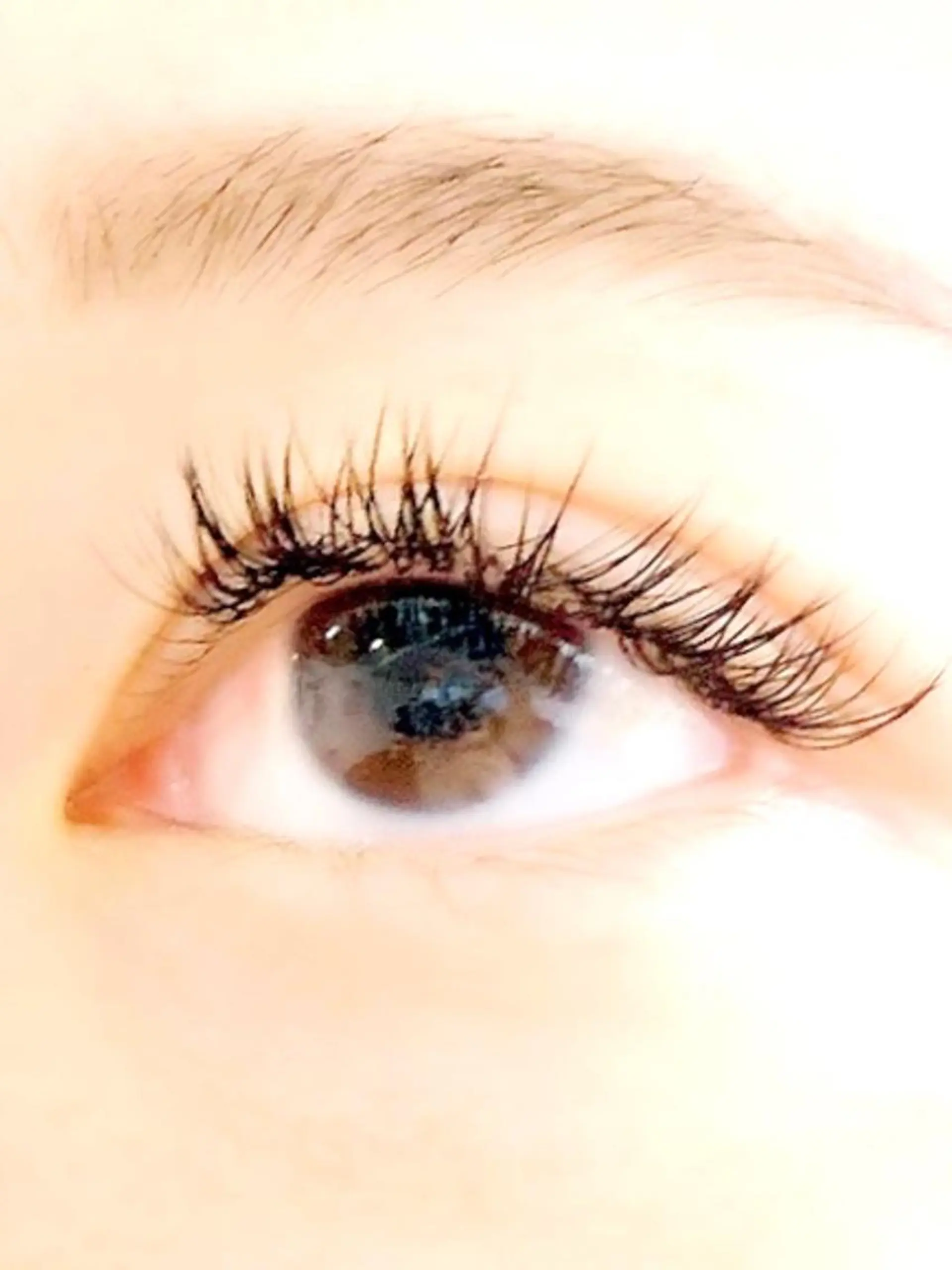 マツエク・マツパ Twiggy Lashes所属・Twiggy Lashes いずみのマツエク・マツパデザイン