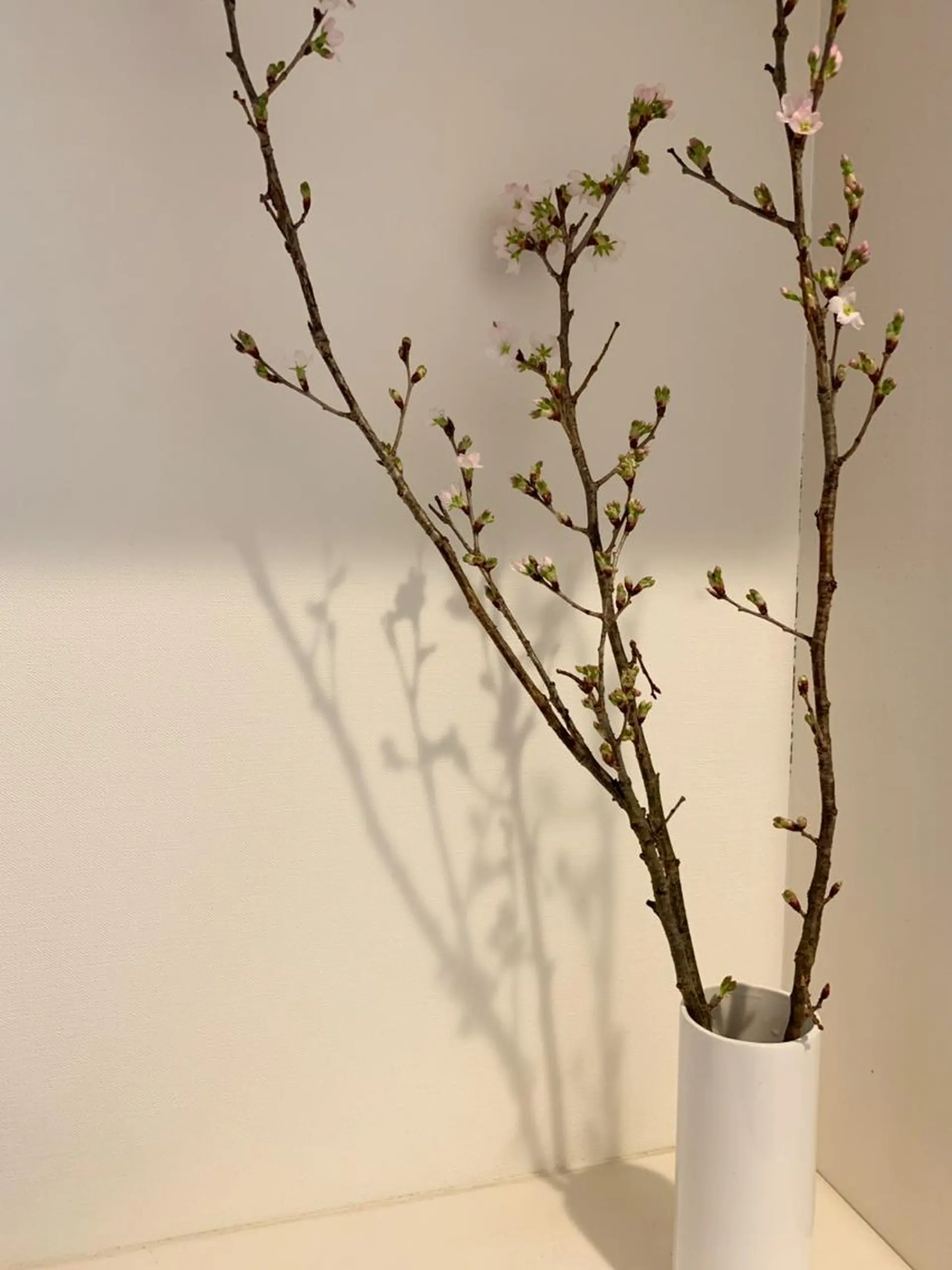 ネイル 春ネイル Lili beauty salon所属・Lilibeauty salonのネイルデザイン