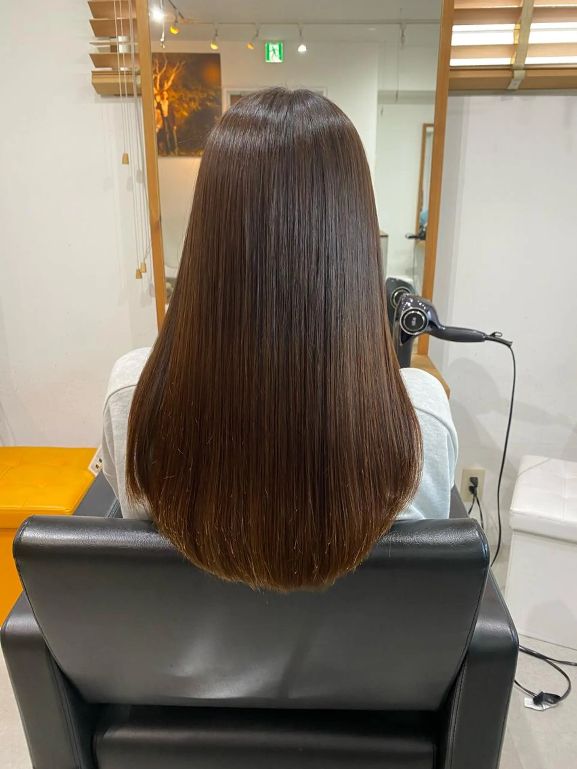 ロング 銀座⚜️【脱白髪染め 美髪矯正】トグチのヘアスタイル