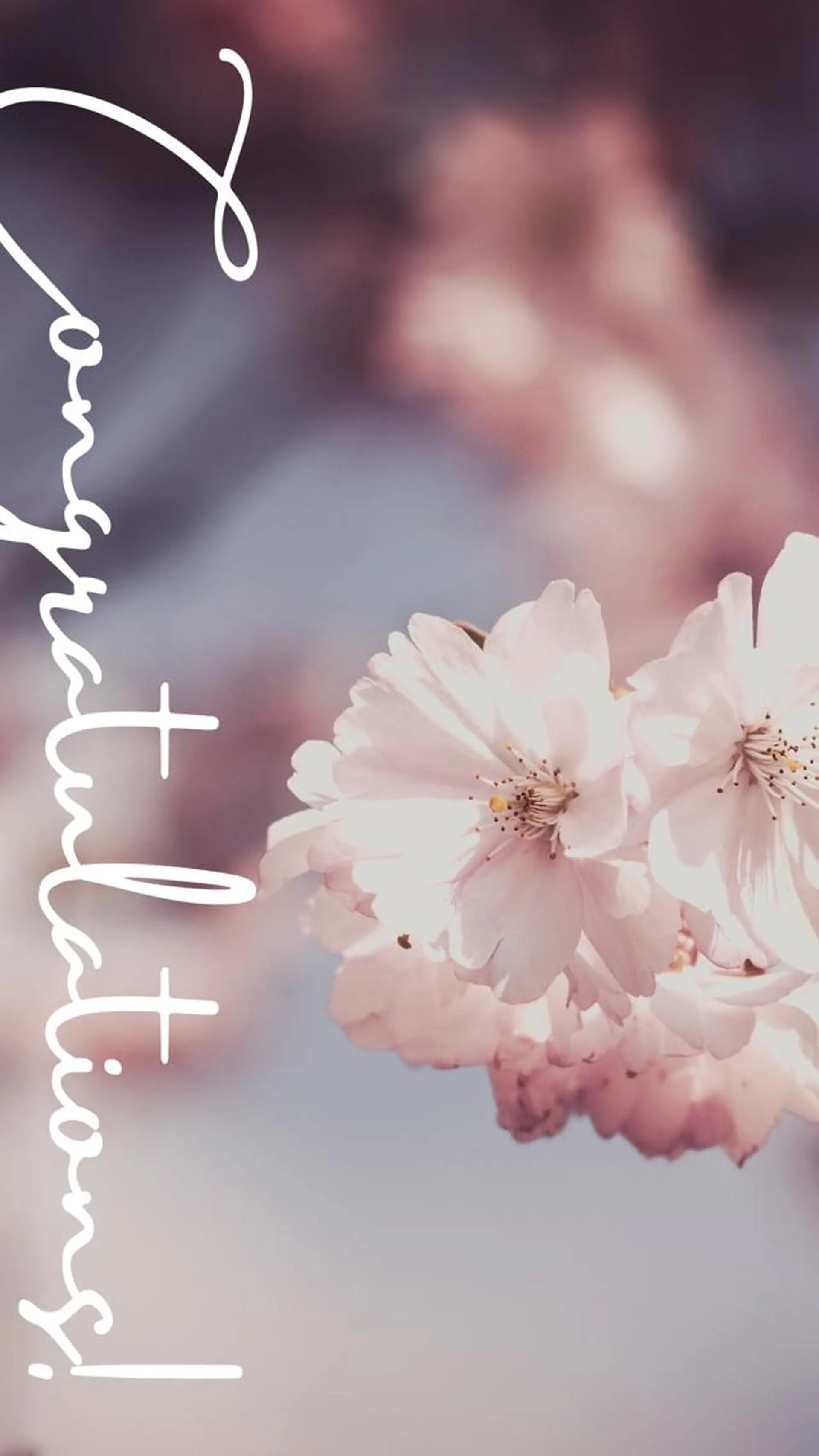 伊藤 幸子のエステ・リラクイメージ