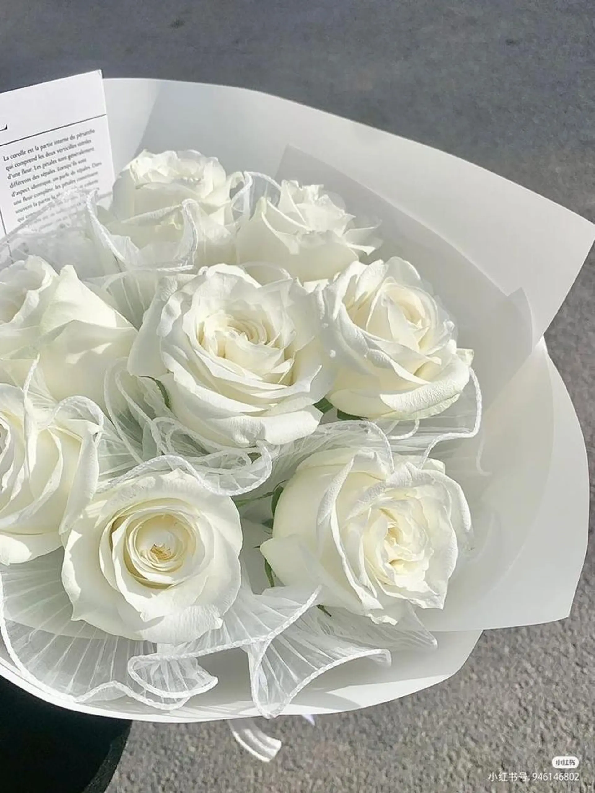 マツエク・マツパ PLUS EYE 銀座本店所属・プラスアイ銀座本店 🥀RIHO🥀のマツエク・マツパデザイン