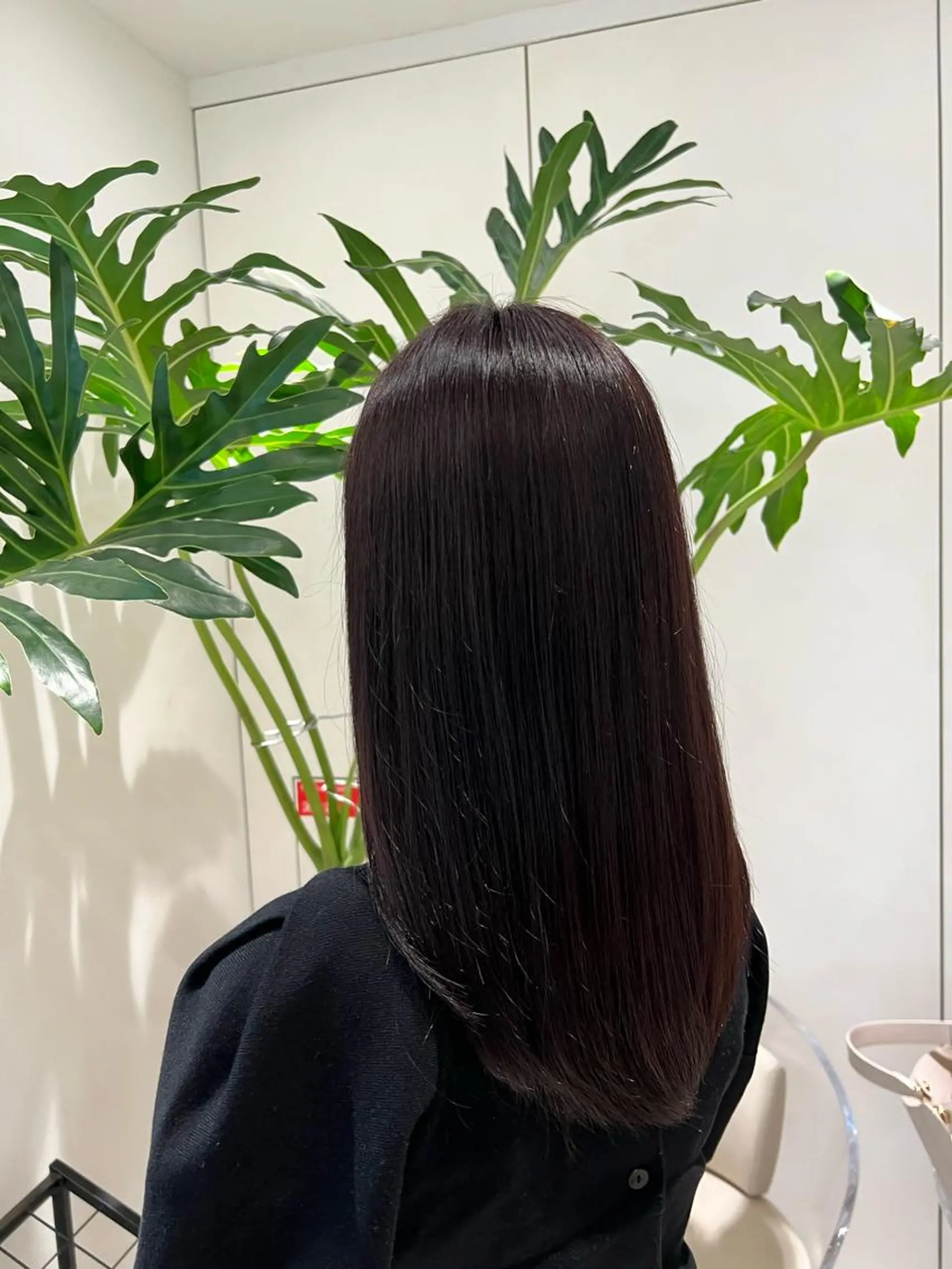 ミディアム カラー カット ヘアカラー 縮毛矯正 トリートメント ✨髪質改善 縮毛矯正 艶髪 立川 コウキ✨のヘアスタイル