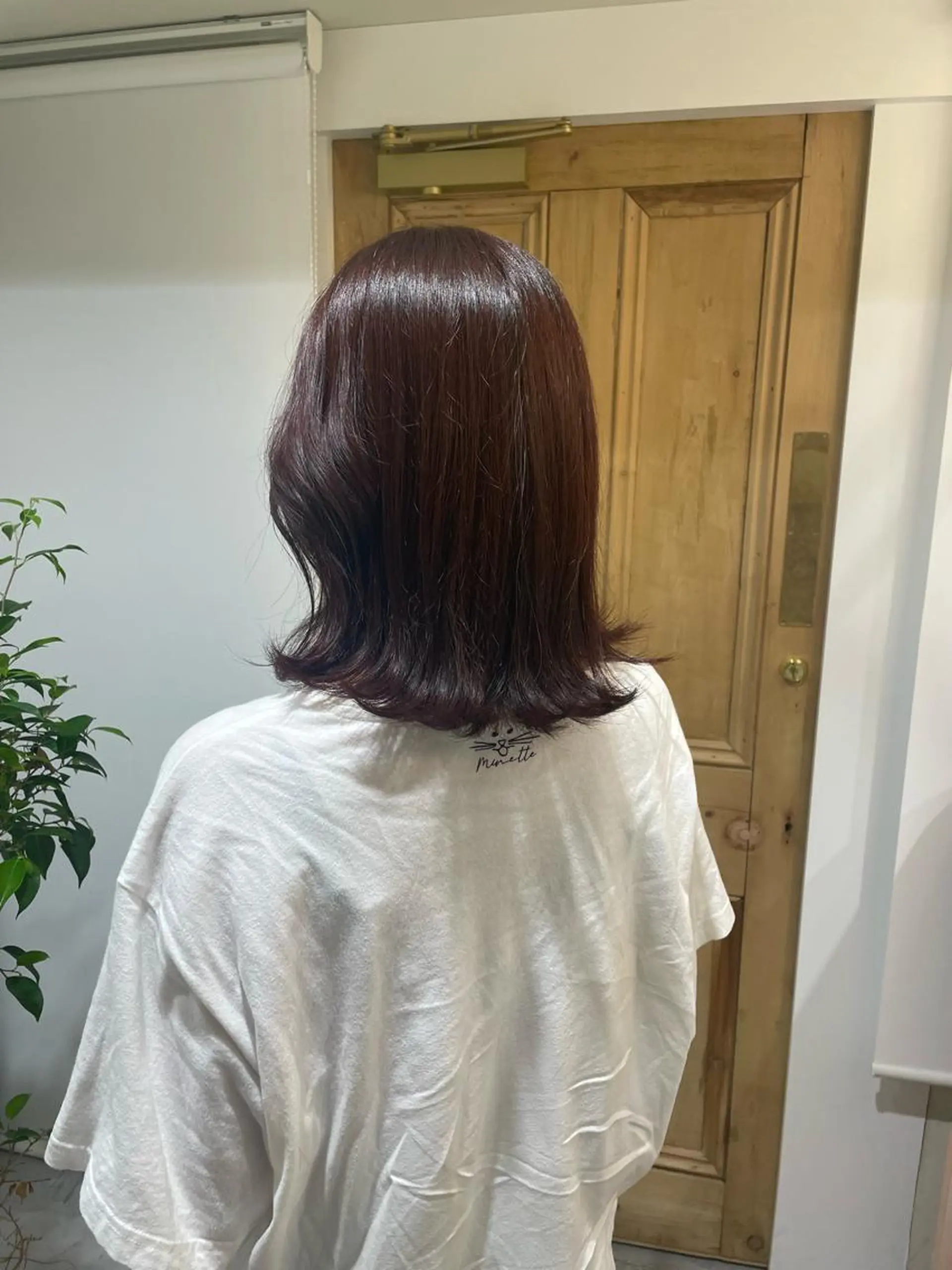 ミディアム レッドブラウン サクラブロウ博多 野上のマツエク・マツパデザイン