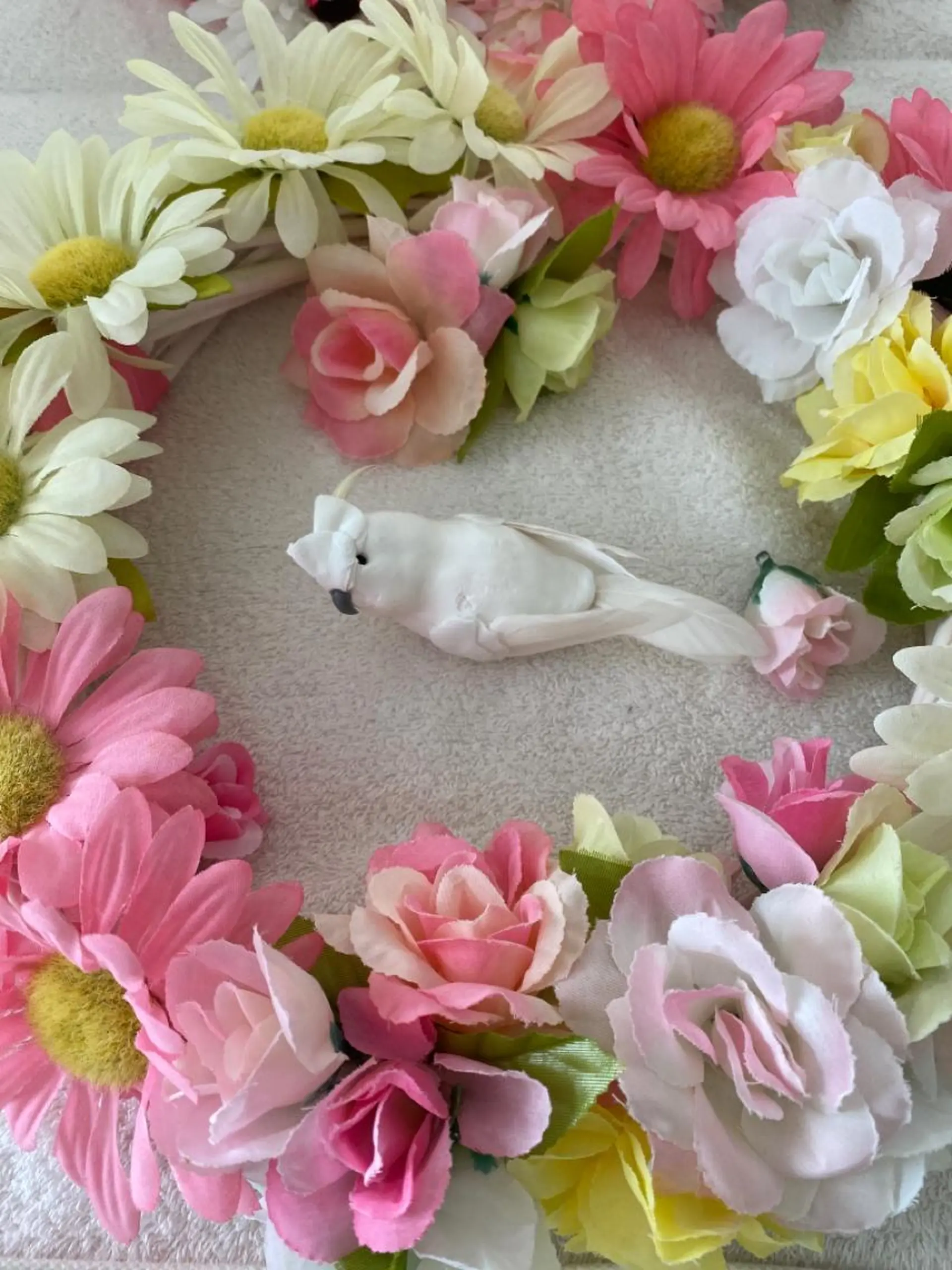 R E O T I A R A（レオティアラ）所属・高屋 昌子のその他イメージ