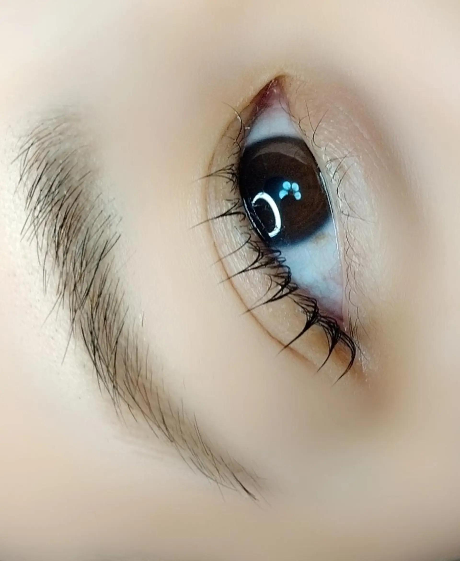 マツエク・マツパ まつげパーマ maison calmeのマツエク・マツパデザイン