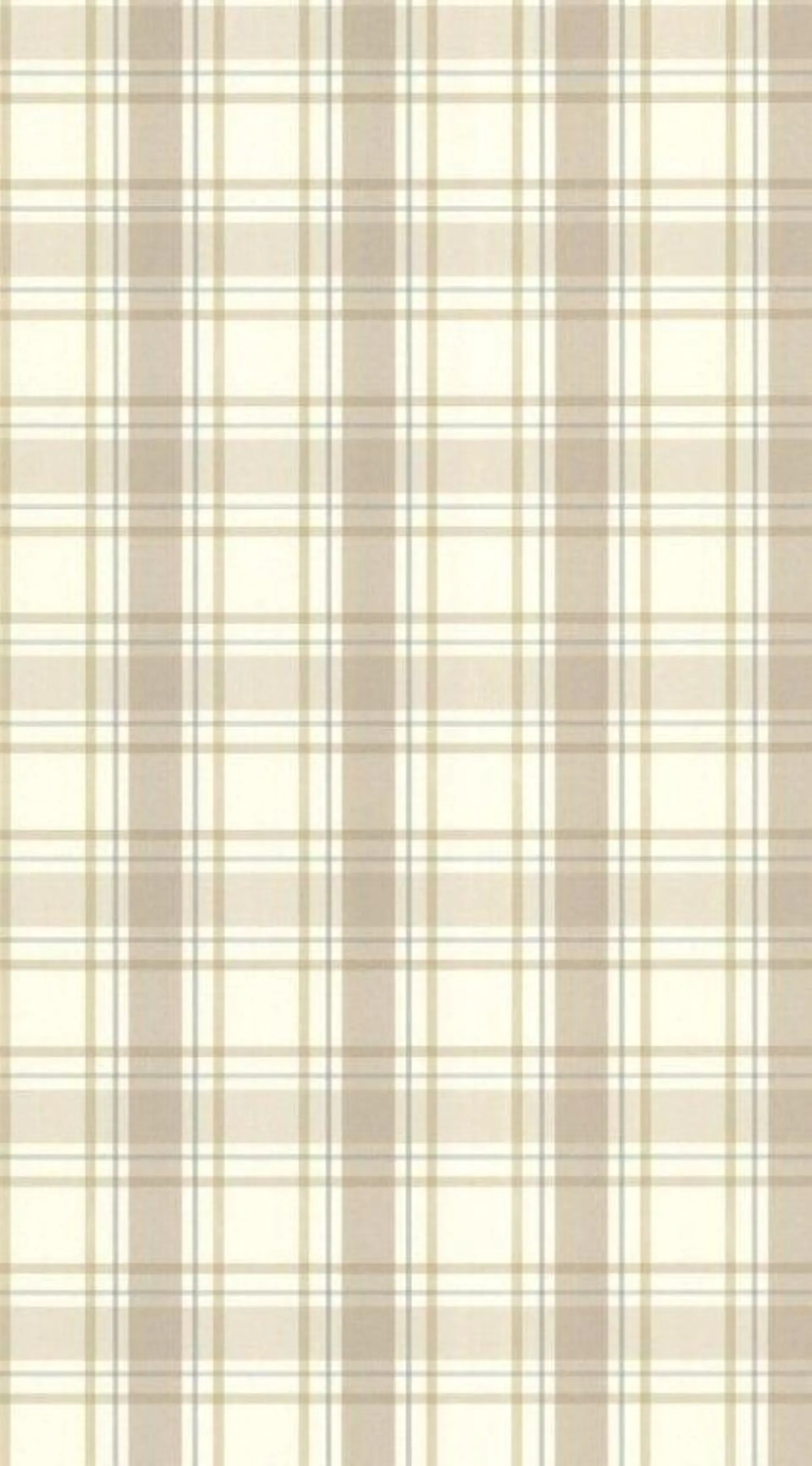 韓国ハイトーン🦋 hikariのヘアスタイル