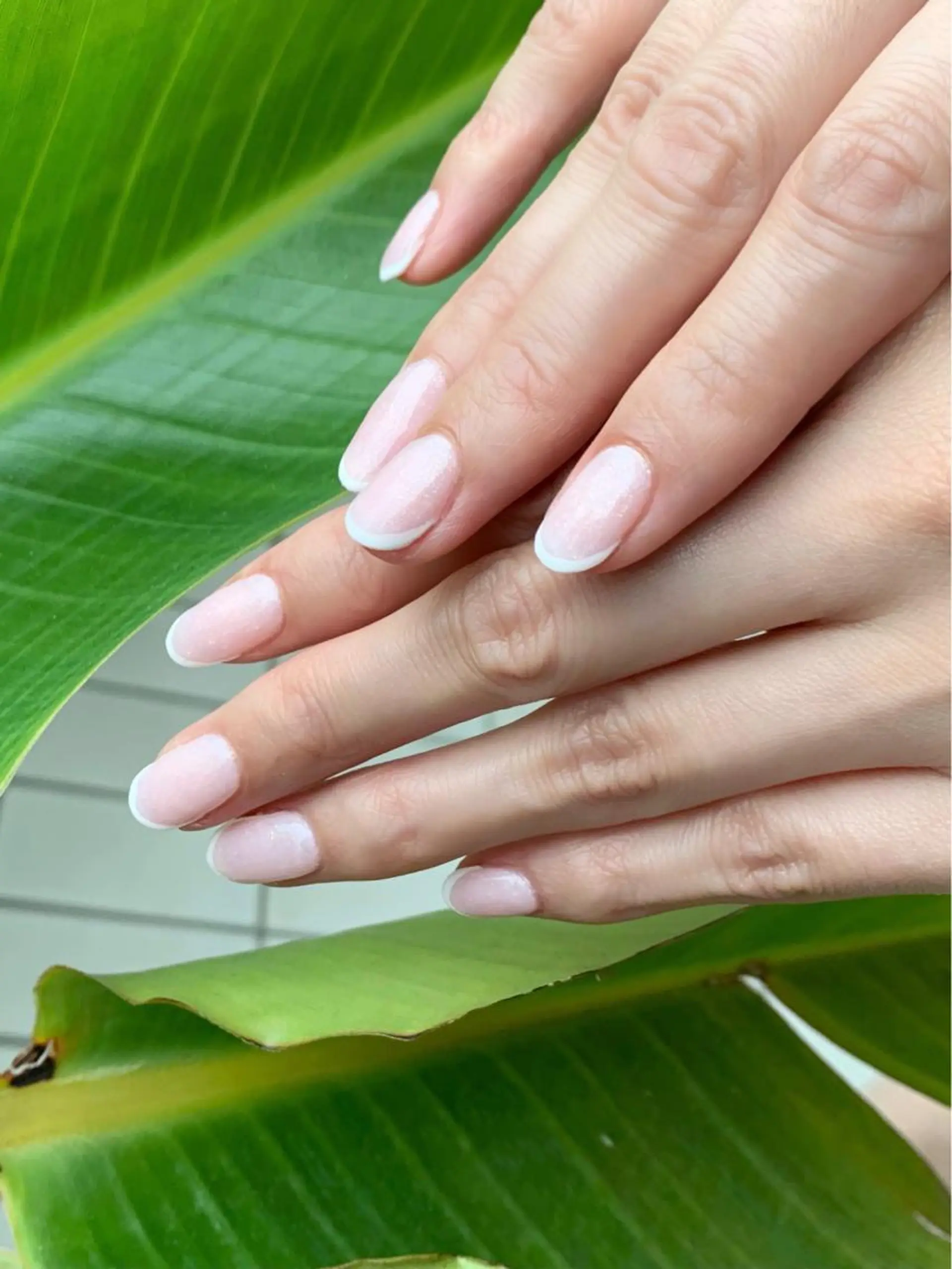 ネイル フレンチネイル ワンカラーネイル ピンク ハンドネイル N.barber / koderaのネイルデザイン