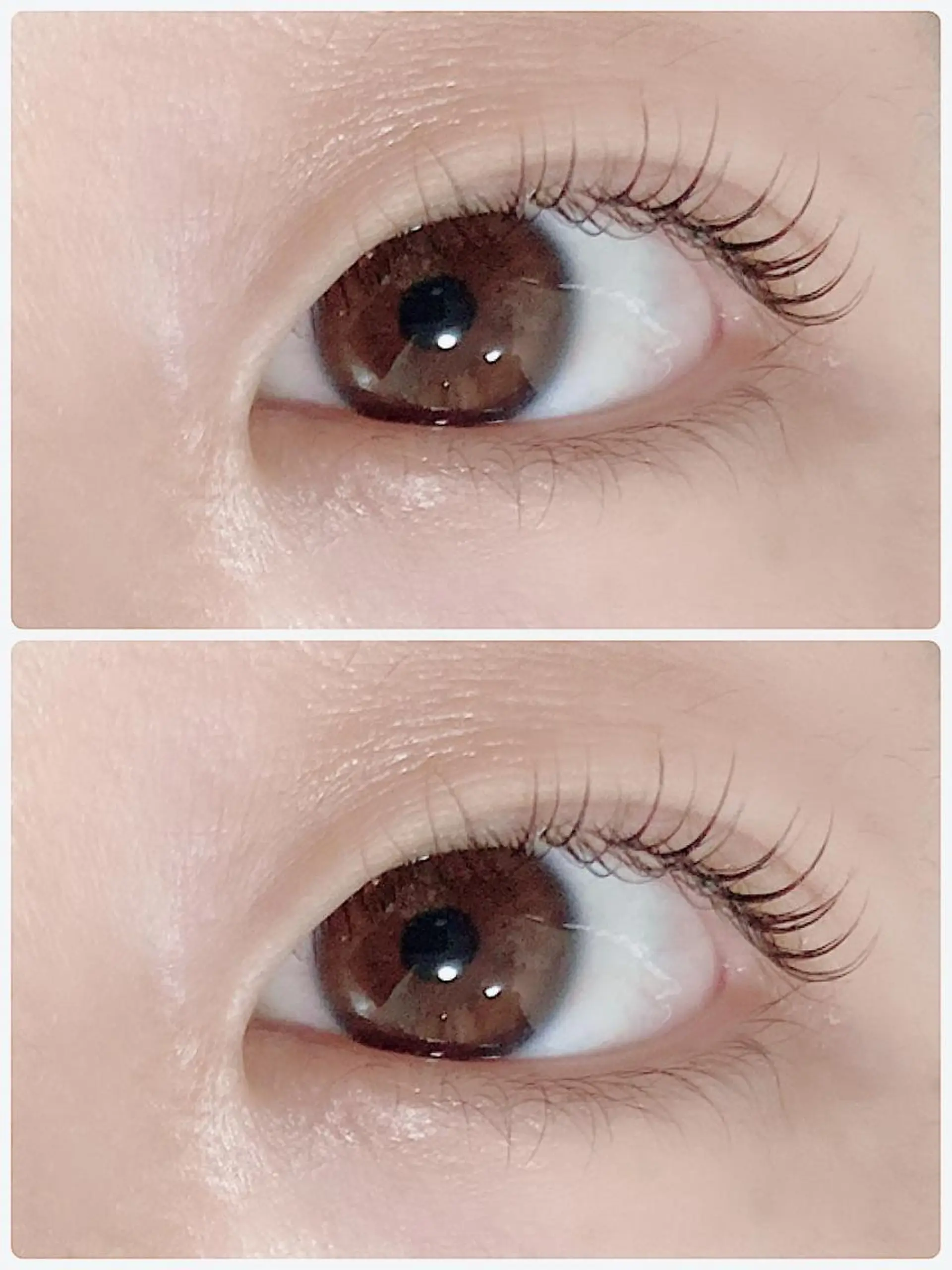 マツエク・マツパ 🪼ひとみ🪼半個室 Amour菊川店のマツエク・マツパデザイン