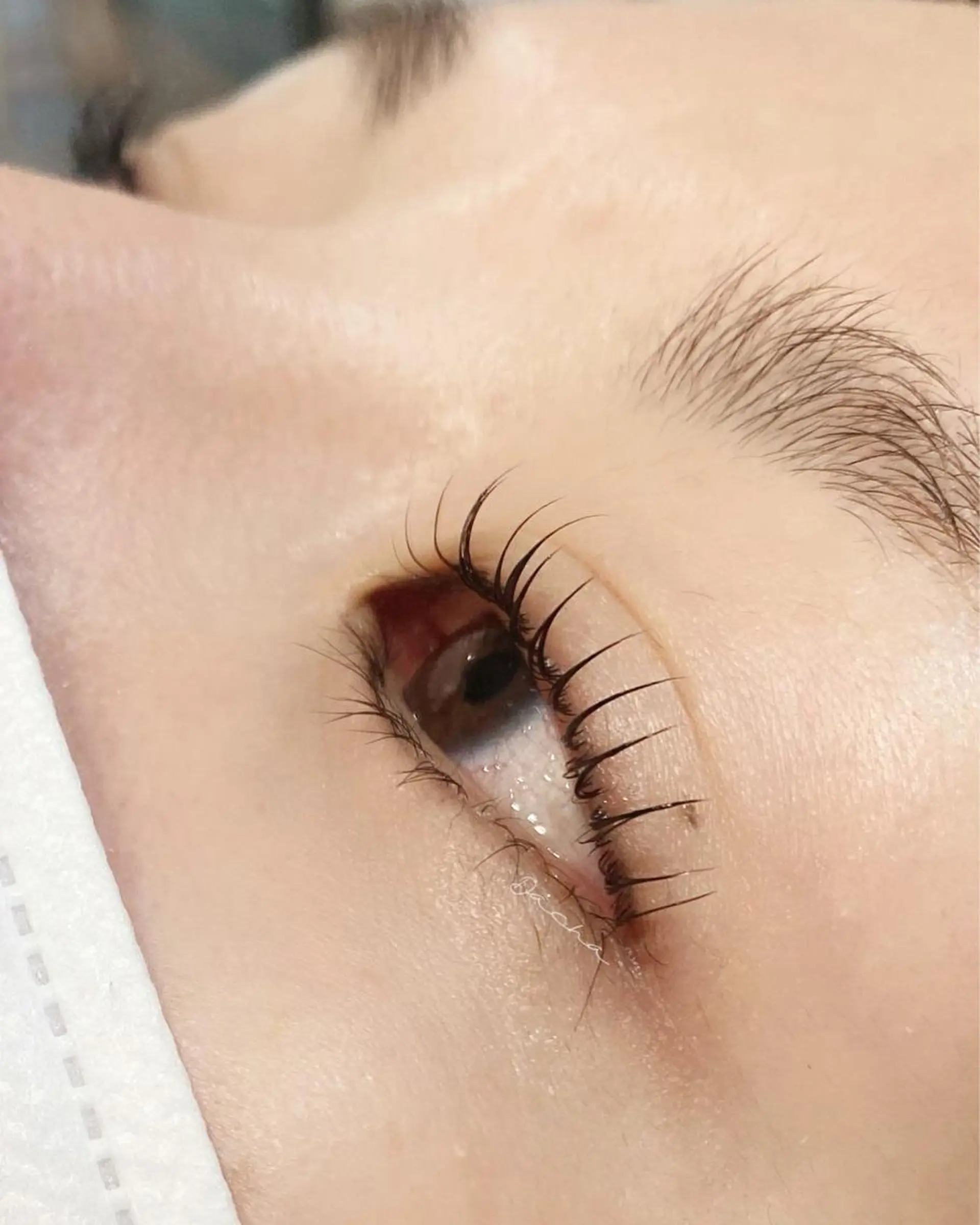 マツエク・マツパ Dacha まつ毛屋さんのマツエク・マツパデザイン