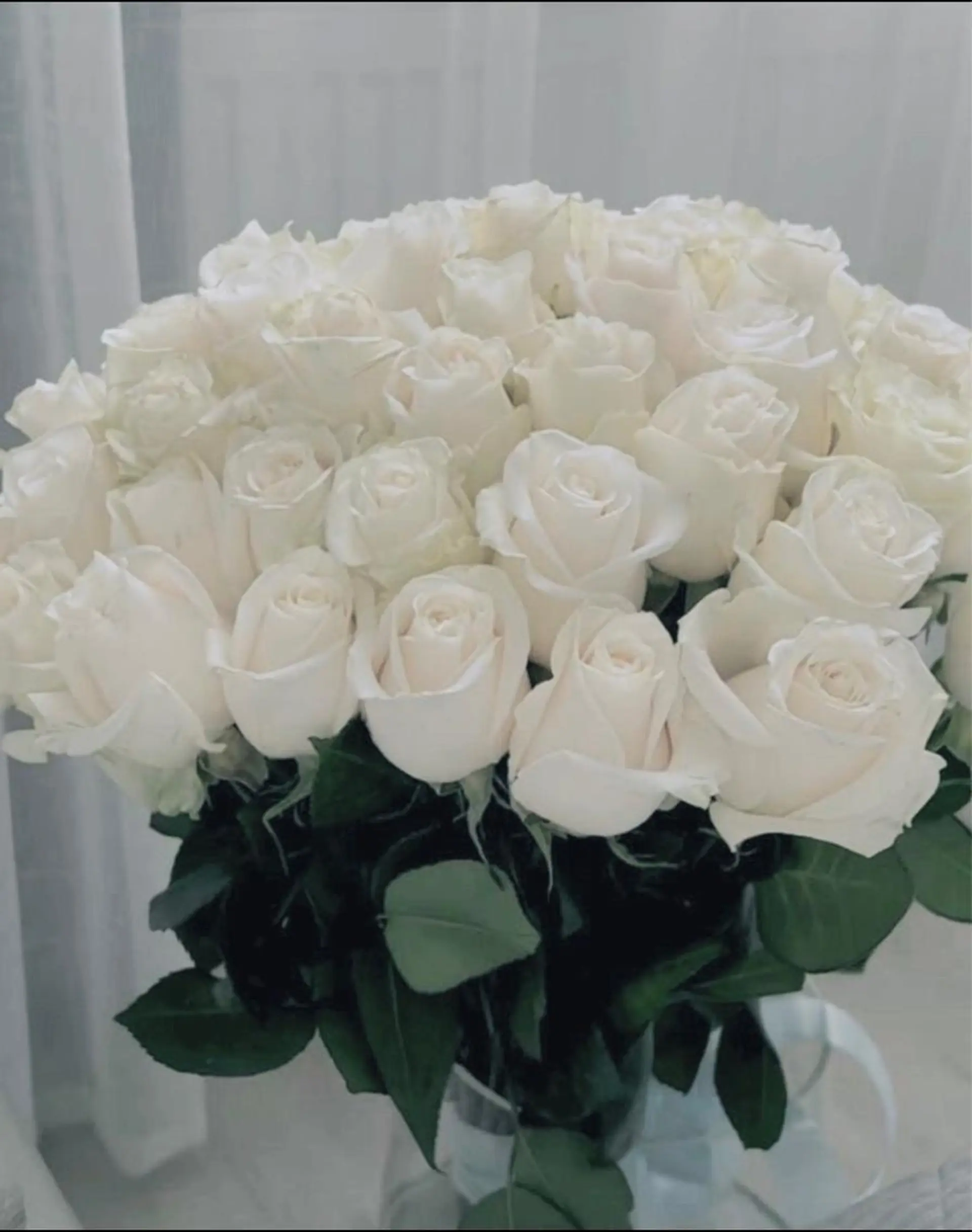 アイブロウ PLUS EYE 銀座本店所属・プラスアイ銀座本店 🥀RIHO🥀のマツエク・マツパデザイン