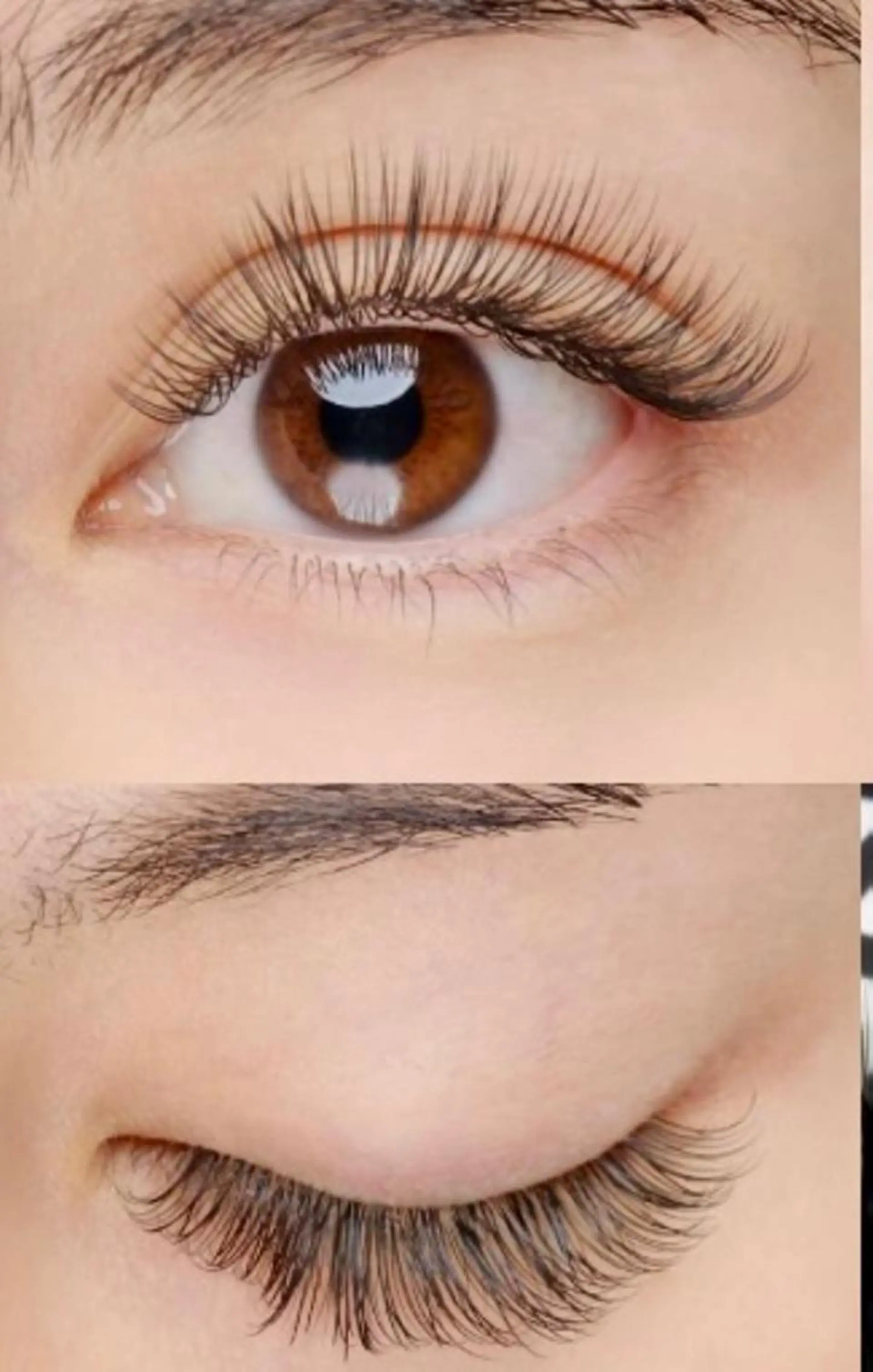 マツエク・マツパ 横山 千春のヘアスタイル