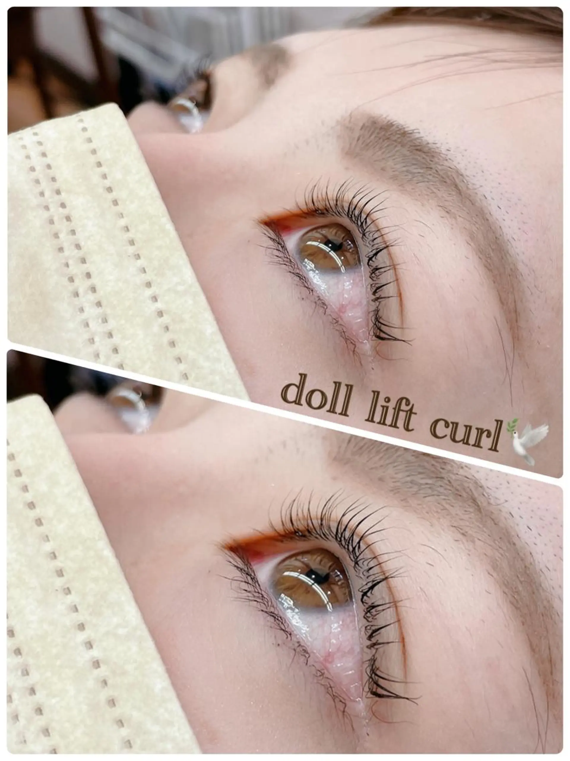 マツエク・マツパ パリジェンヌラッシュリフト WE RULE 札幌店 【ウィールール 札幌店】所属・✨️大人ショート 髙橋朋花のヘアスタイル